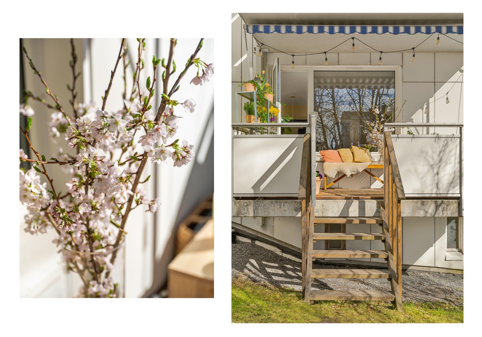Herfra er det en trapp ned til felles hage - perfekt for familie med små barn. Galleribilde