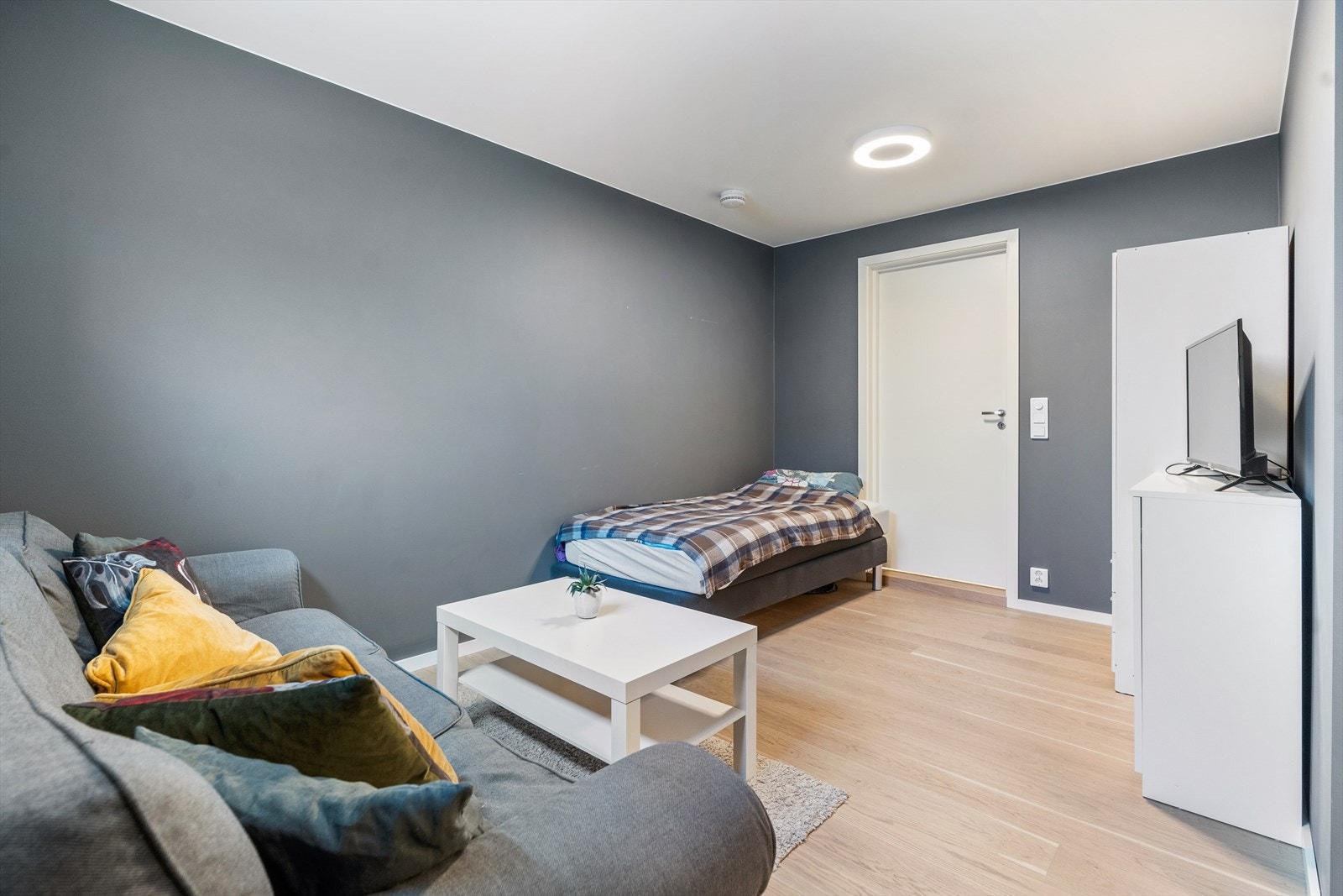 Oppholdsrommet har plass til både sofa, TV-møblement og seng. Galleribilde