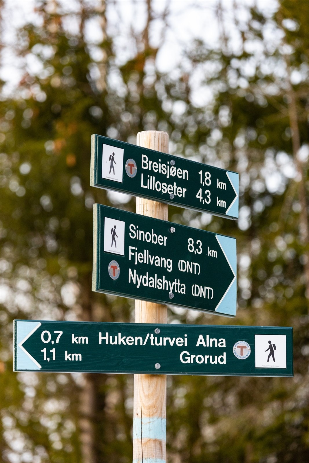 Skilt Lillomarka Galleribilde