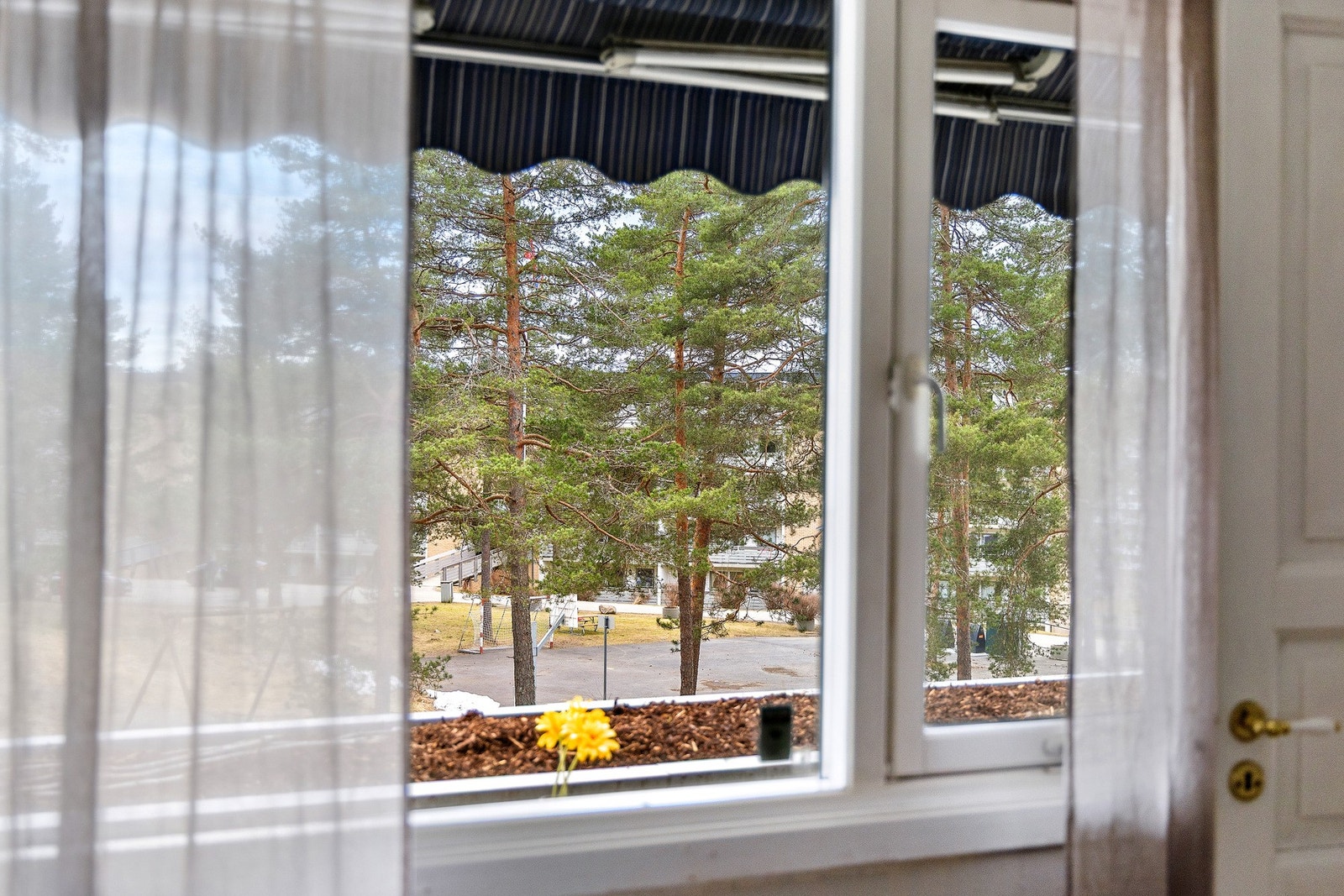 Her kan du våkne opp i hyggelige omgivelser. Galleribilde