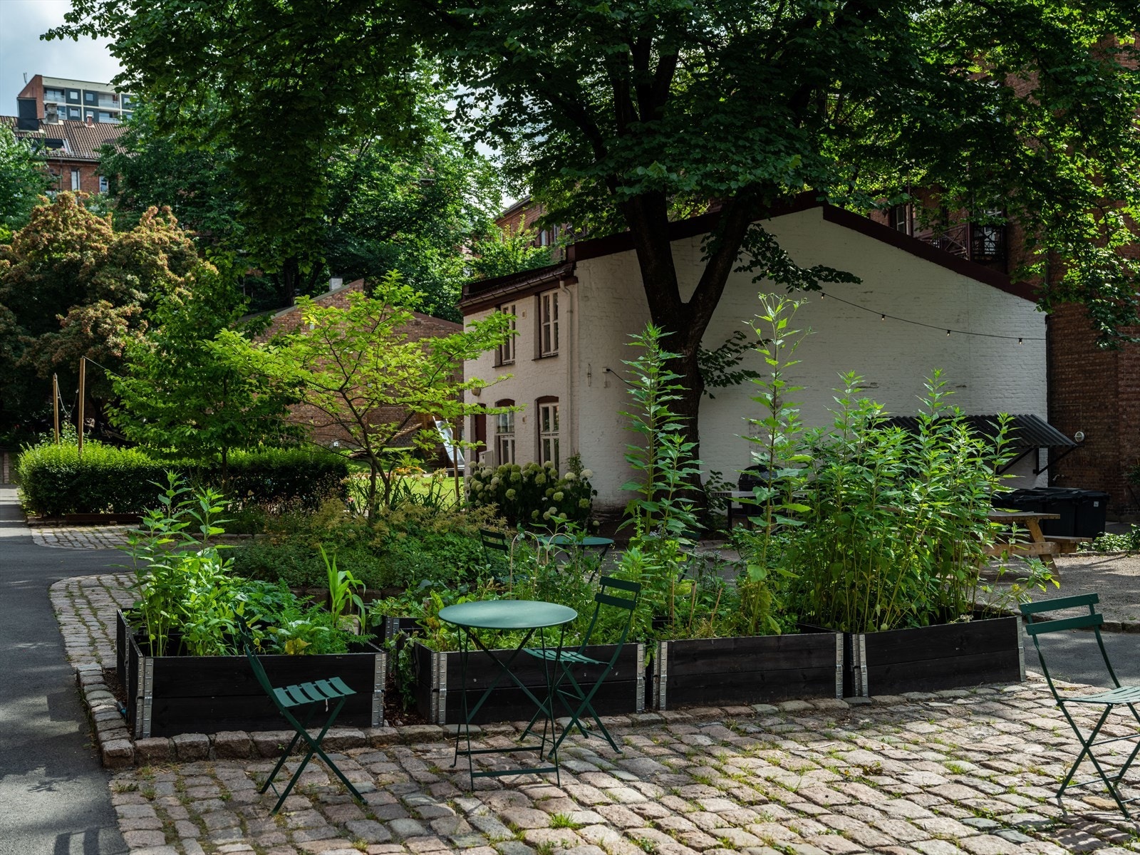 Bakgårdshuset har festrom, kjøkken og toalett i første etasje. I andre etasje er det soverom med mange sengeplasser. Fint å ha når familie eller venner kommer på overnattingstur til Oslo. Galleribilde