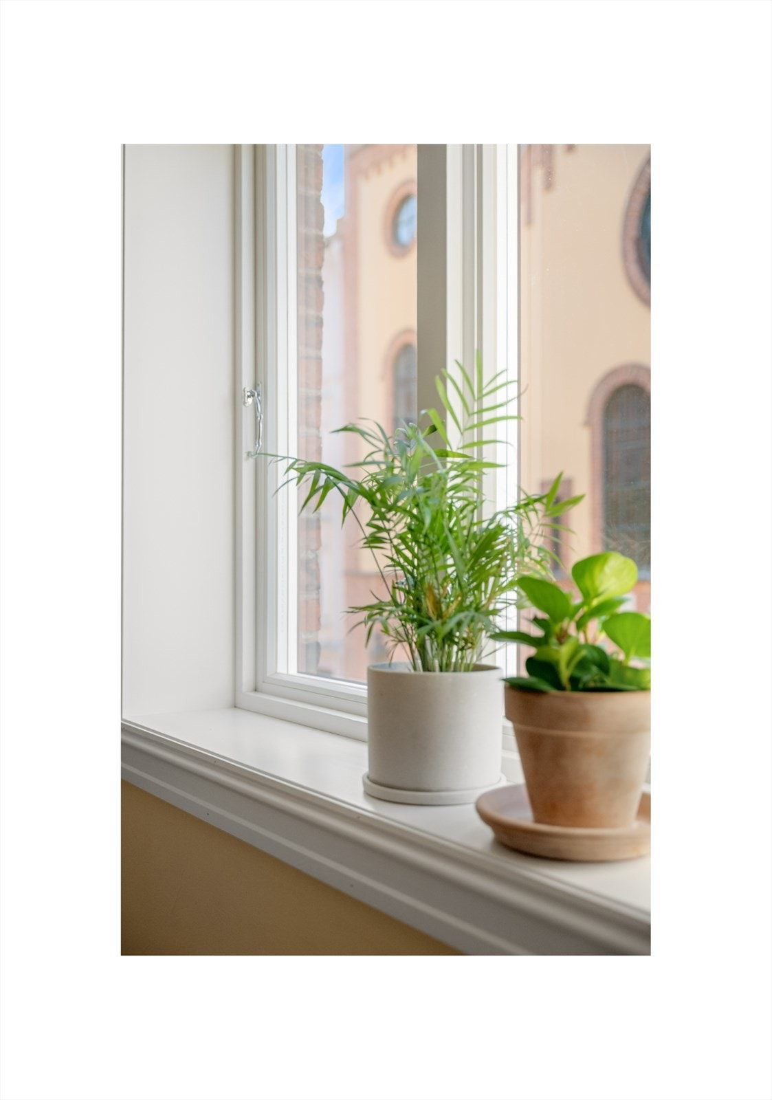 I de brede vinduskarmene trives potteplantene godt. Karmene fungerer også utmerket til dekorative stilleben. Galleribilde