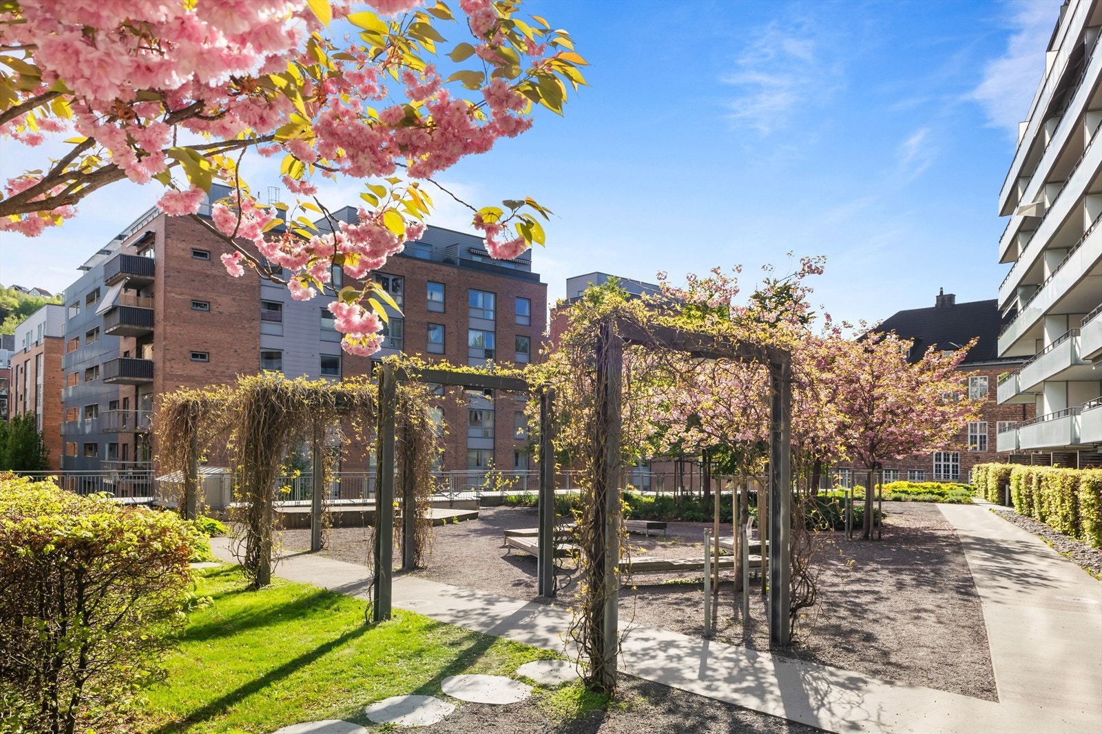 Fellesområdene er pent beplantet, med benker og gode muligheter for utendørs opphold Galleribilde