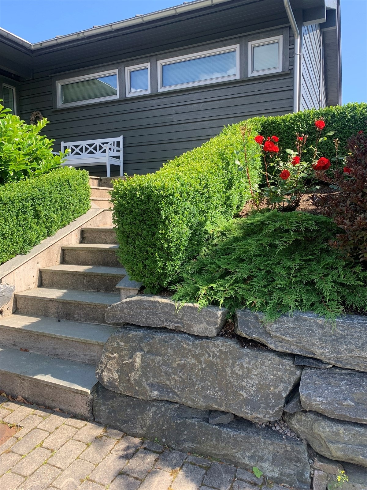 Selgers private sommerbilde. Galleribilde