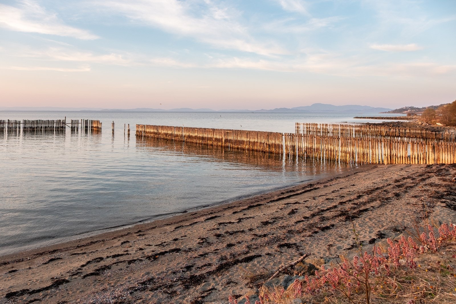 Hansbakkfjæra ligger nærmest like utenfor døren. Galleribilde