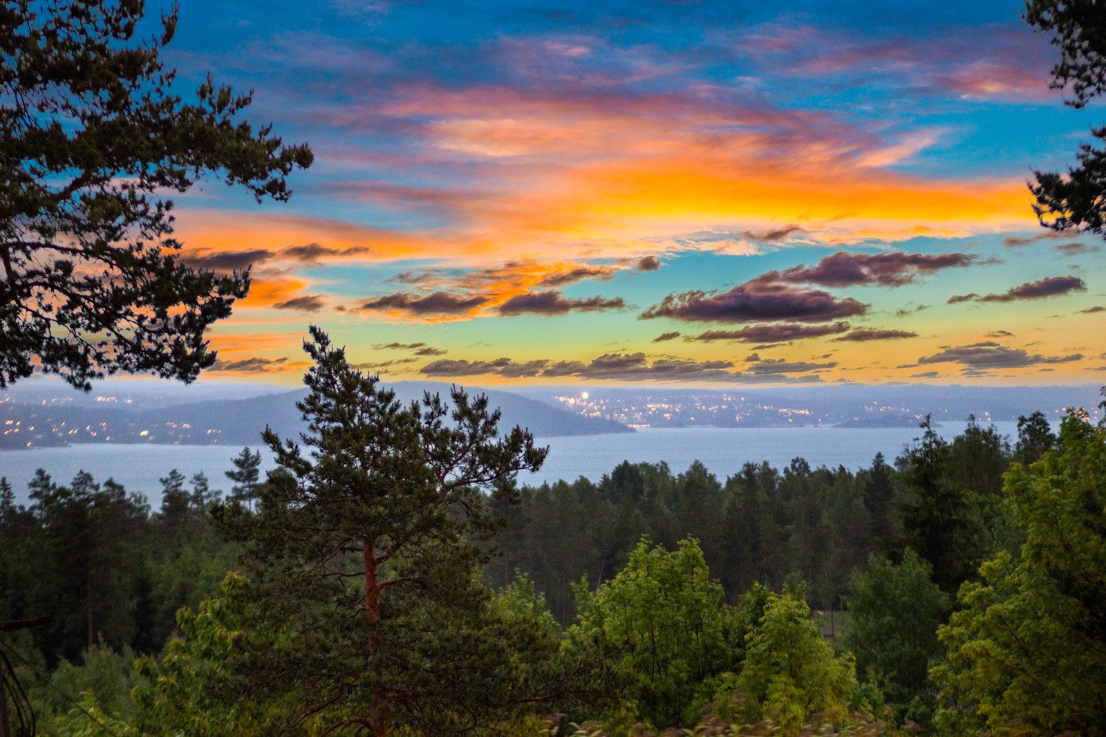 Velkommen på visning Galleribilde