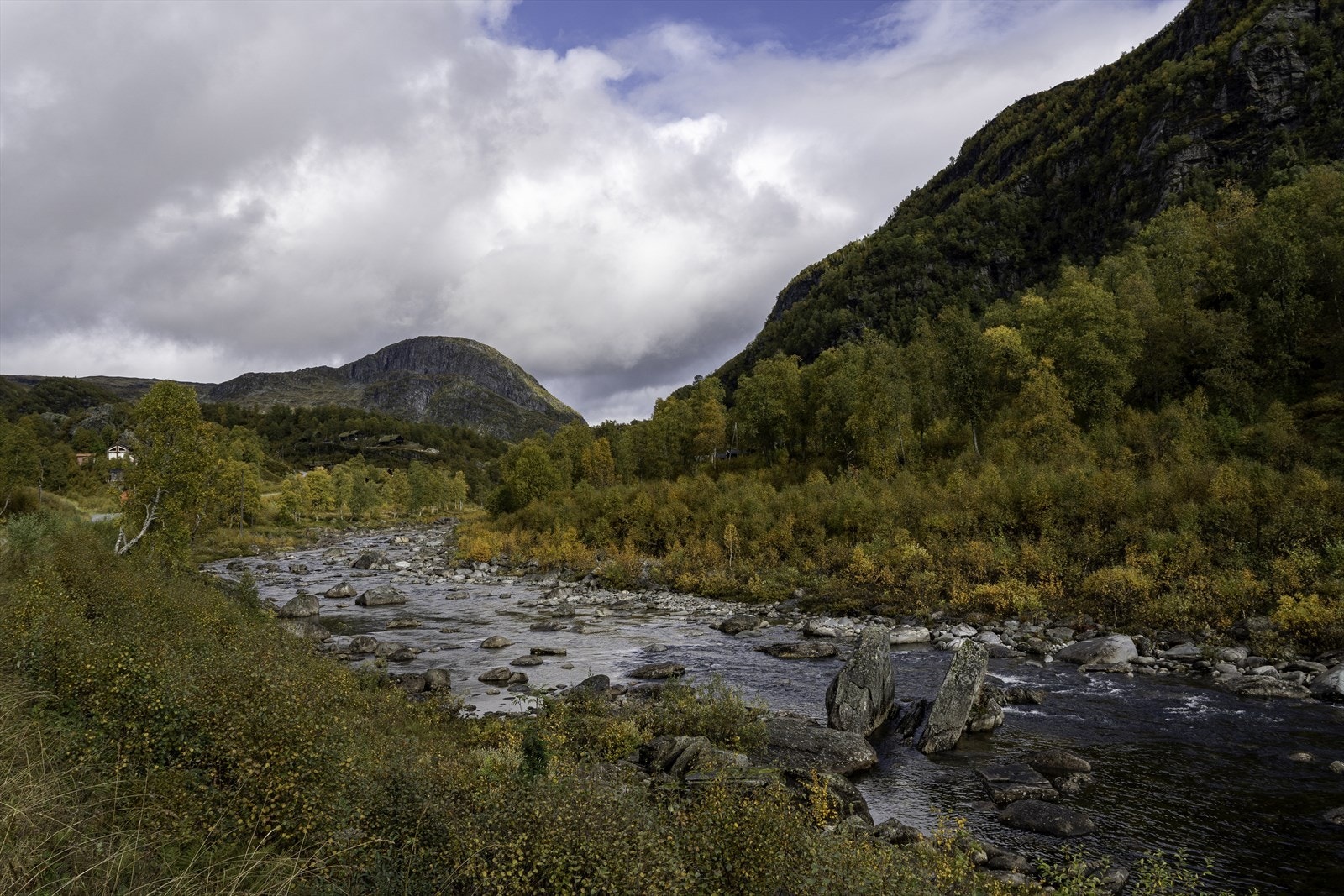Turbilde fra selger Galleribilde