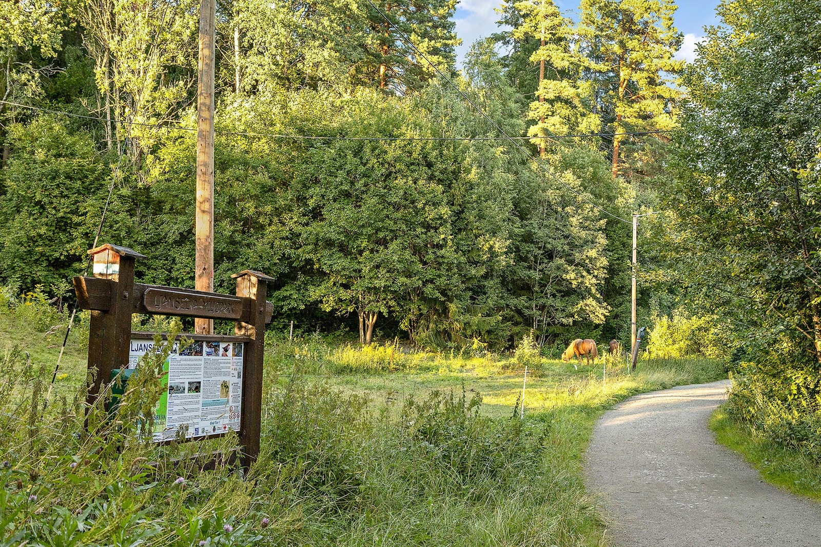 Fra boligen har du kort vei til Østmarka, som byr på et rikt nettverk av turstier, sykkelruter og skiløyper. Galleribilde