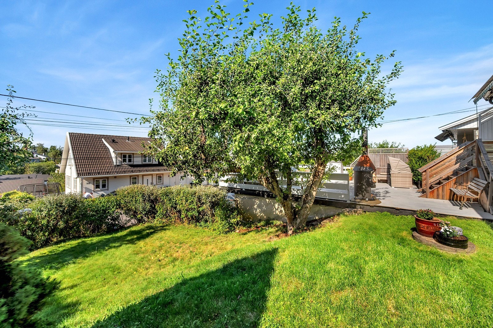 Hagen byr på frodig beplantning med plommetre, epletre, ripsbusker og rabarbra. Foto: Martine Eren Jacobsen / iSnitt Galleribilde