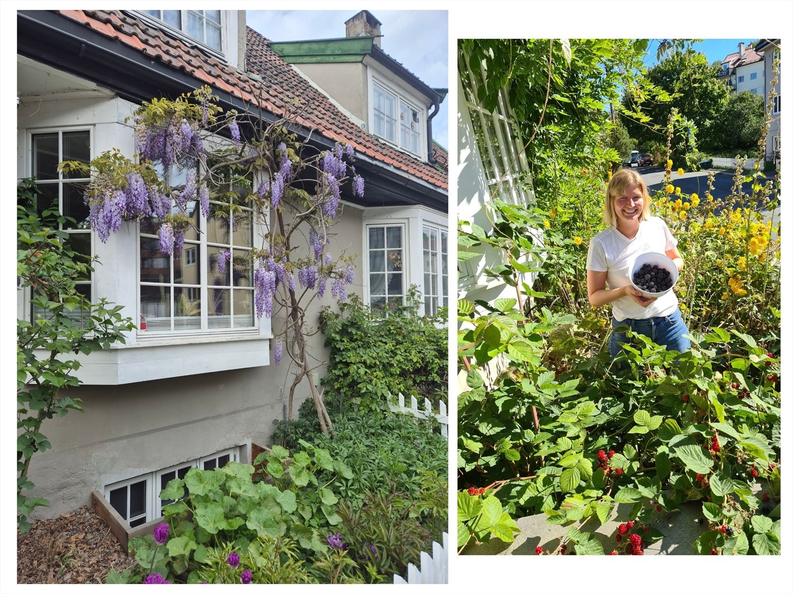 Boligen er tidligere eid av en botaniker som tok godt vare på hagen og sørget for kjempefine busker, blomster og trær på tomta. Galleribilde