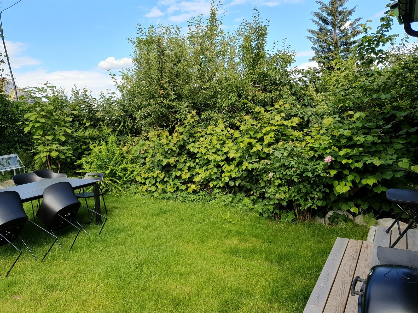 Hagen er godt skjermet på sommerhalvåret. Galleribilde