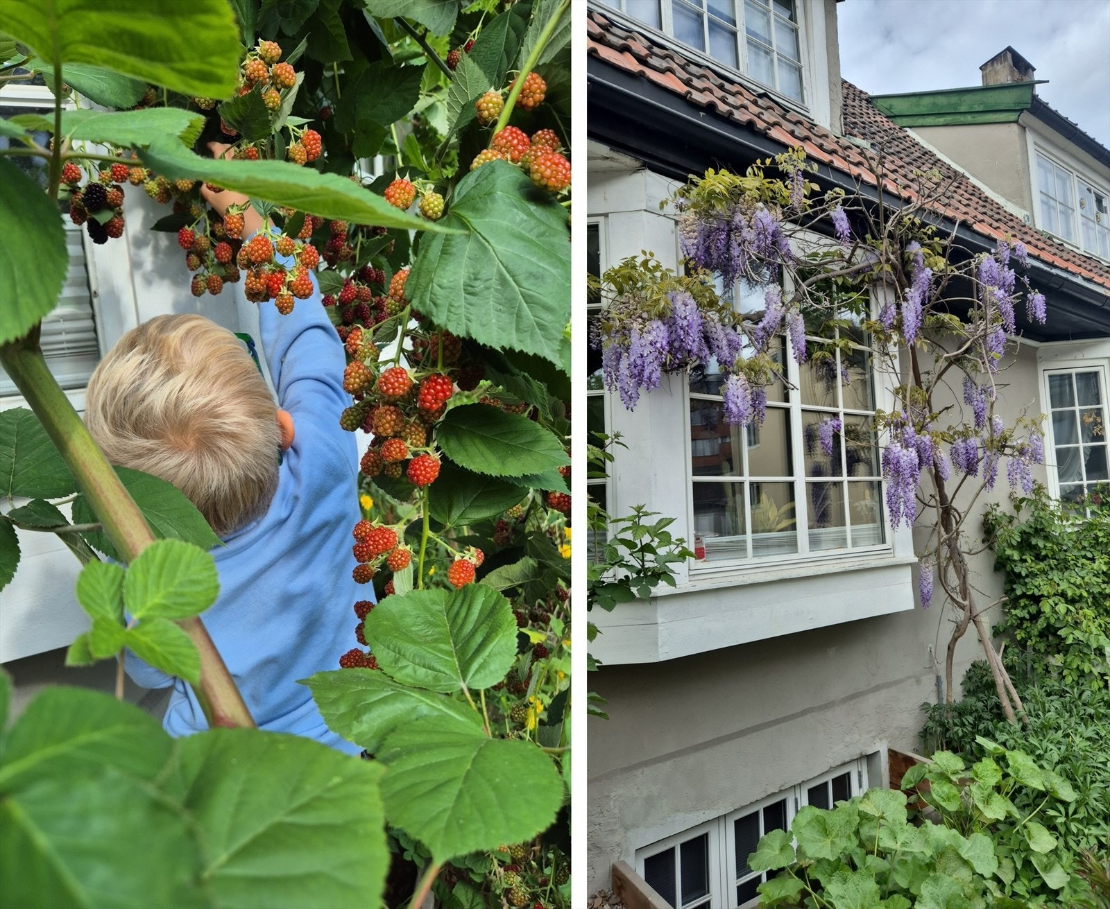 Hageidyll for store og små Galleribilde