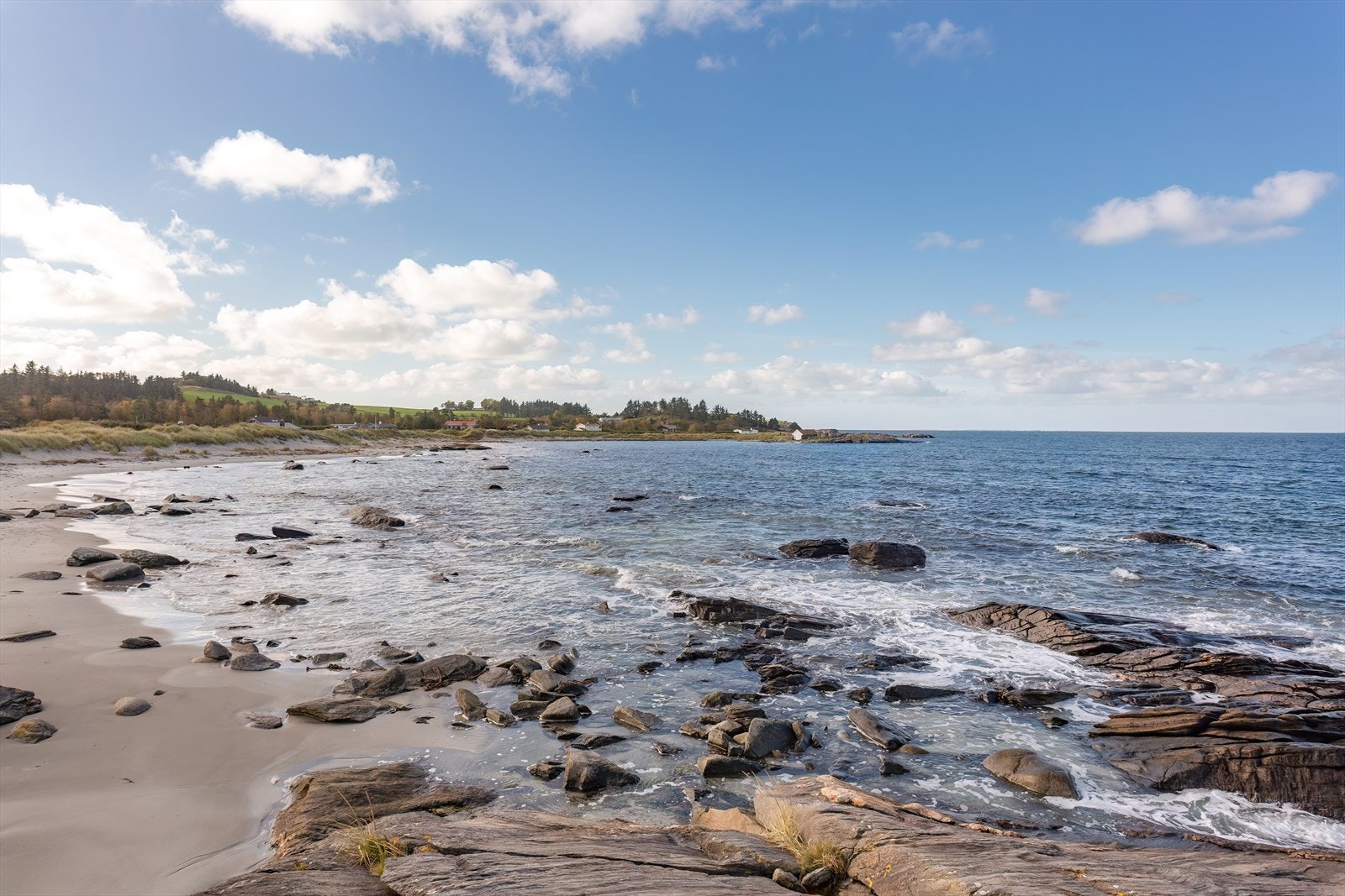 Nærområde Galleribilde