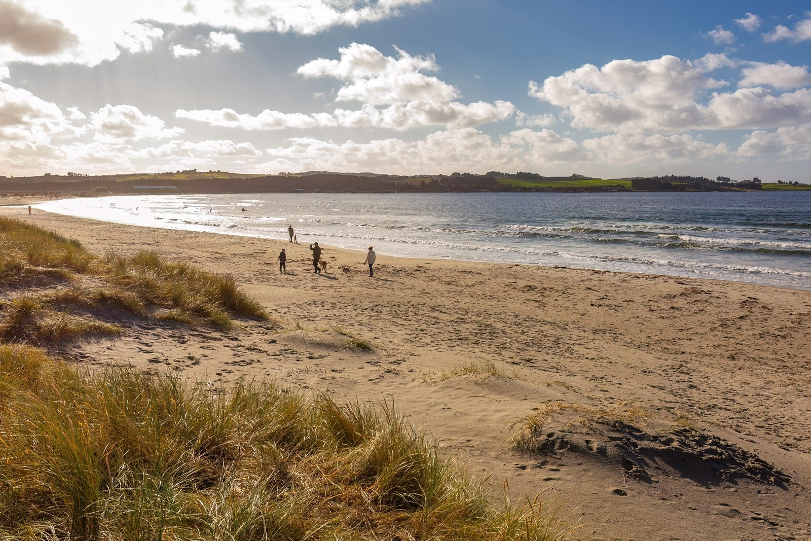 Nærområde Galleribilde