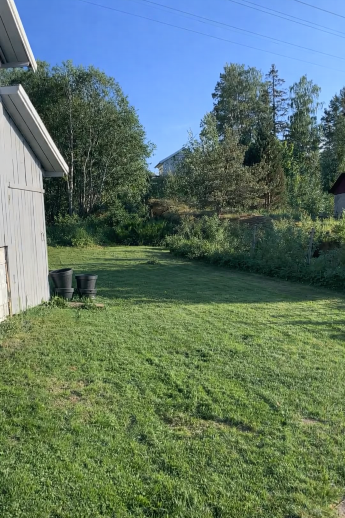 Hagen på sommerstid. Galleribilde