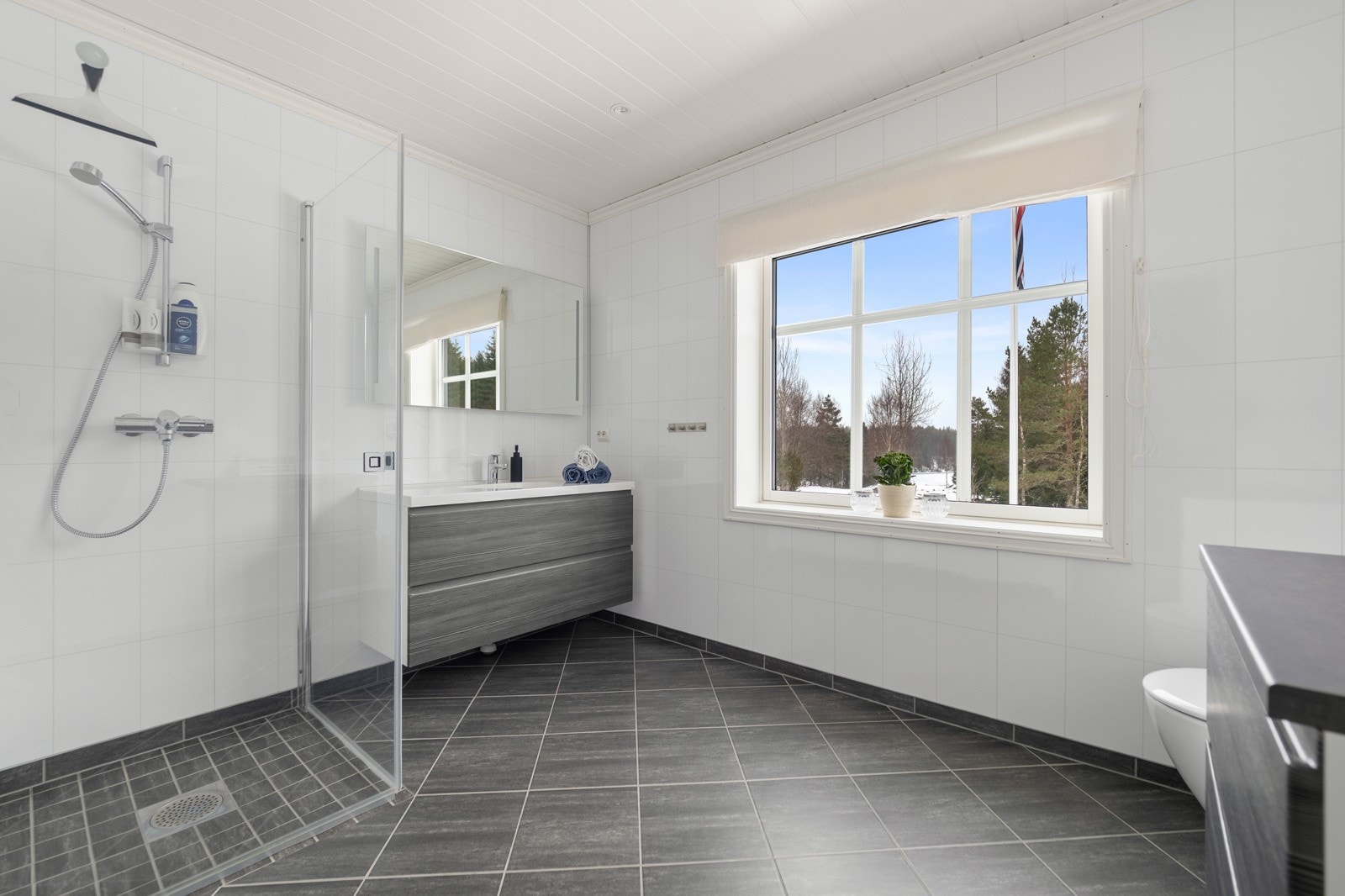 P1870902 Galleribilde