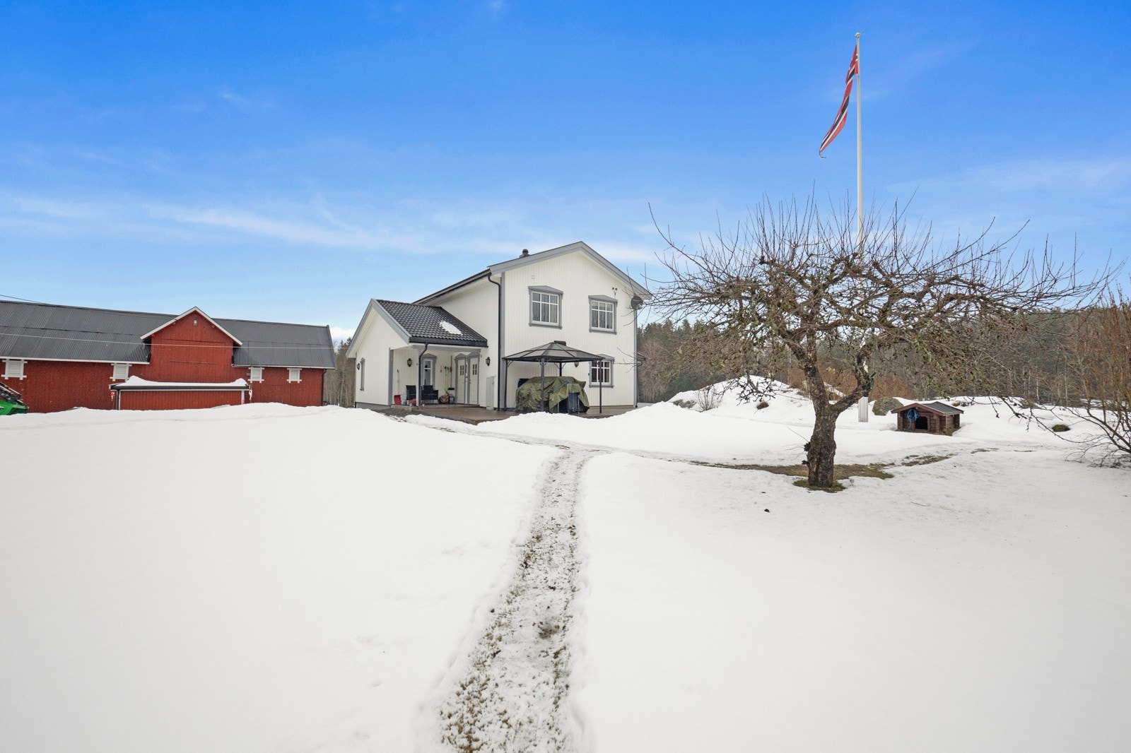 P1871056 Galleribilde