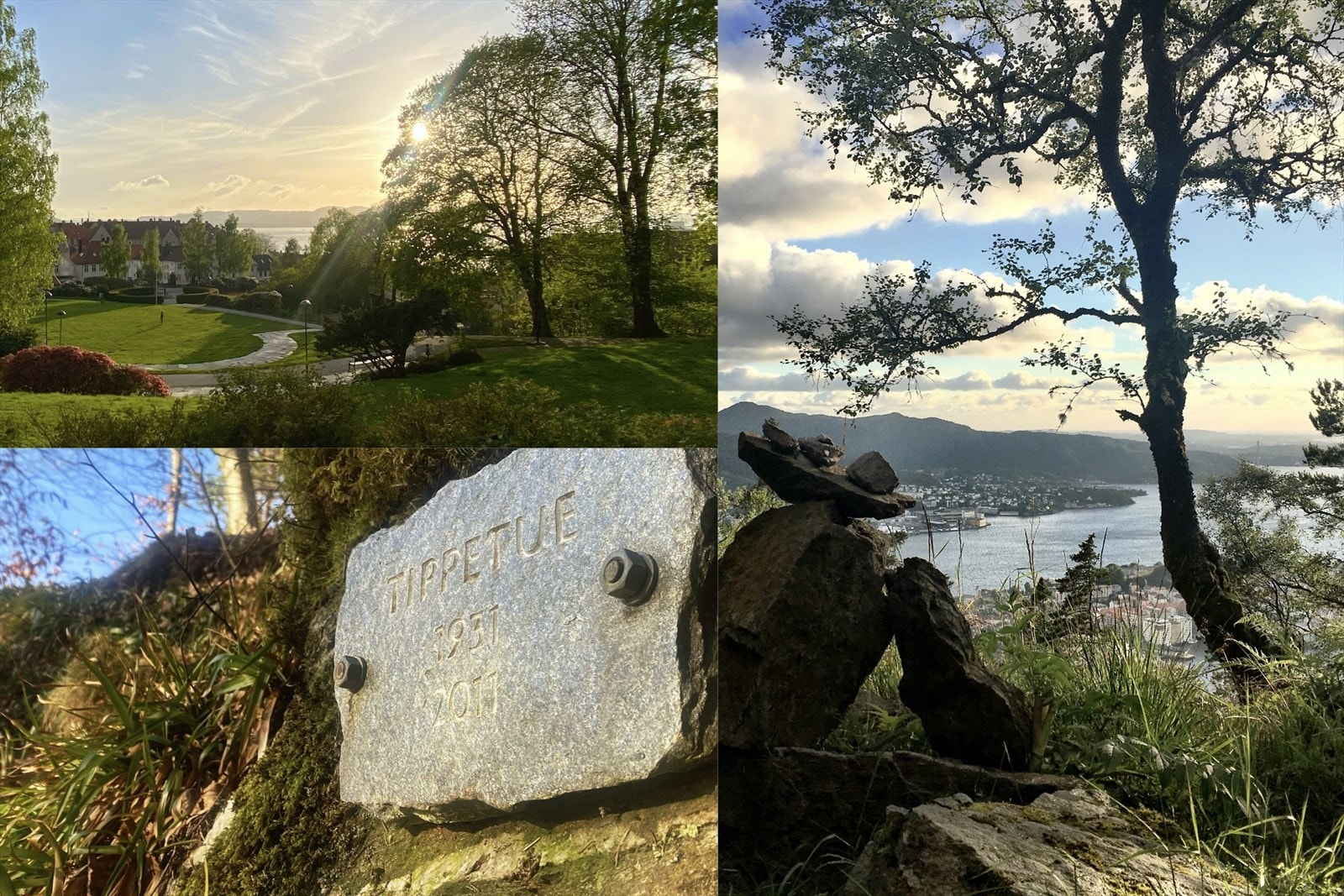 Den turglade vil sette pris på en umiddelbar nærhet til populære turområder med Fjellveien som et godt utgangspunkt, samt at nærliggende grønne lunger som Meyermarken er hyggelige samlingssteder. Galleribilde