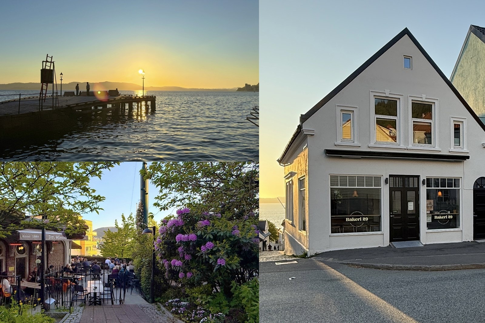 Nærområdet er svært innholdsrikt. Man spaserer enkelt og på kort tid til bademuligheter i Skuteviken, til Dr. Wiesner og Falske Reker som tilbyr bla. uteservering og quiz, samt at man har nyeste tilskudd i nabolaget, Bakeri 29, like nedi gaten. Galleribilde