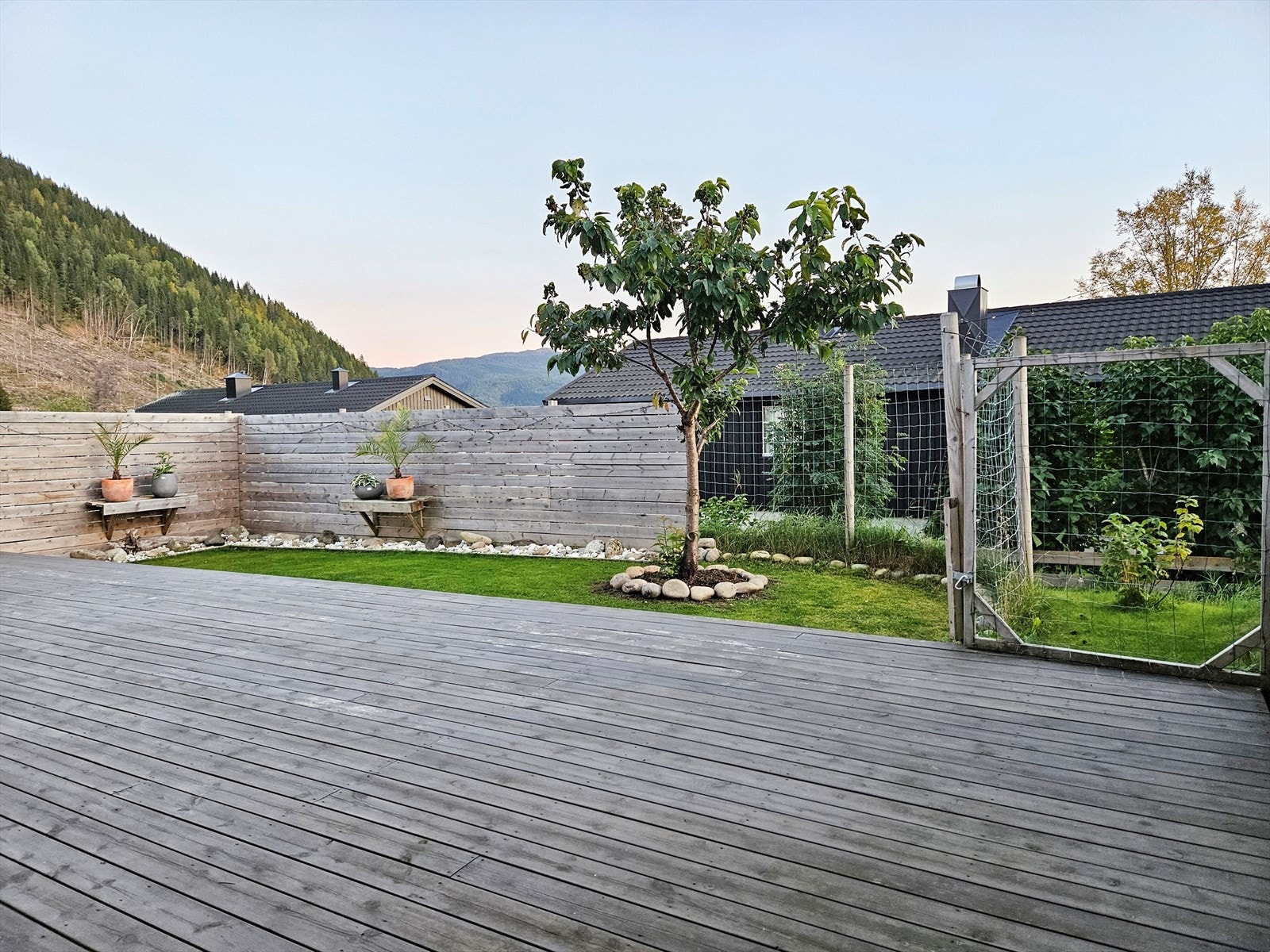 Bilde fra terrassen/hagen på sommeren, tatt av selger. I front av markterrassen er det en velstelt hageflekk med plen, steinbed og vegg med hyller til beplantning. Galleribilde