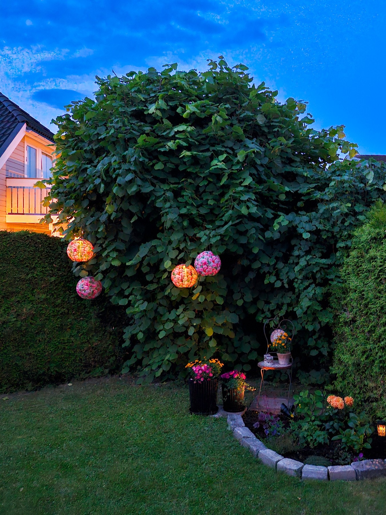 Selgers private bilde. Det blir riktig så frodig på eiendommen. Galleribilde