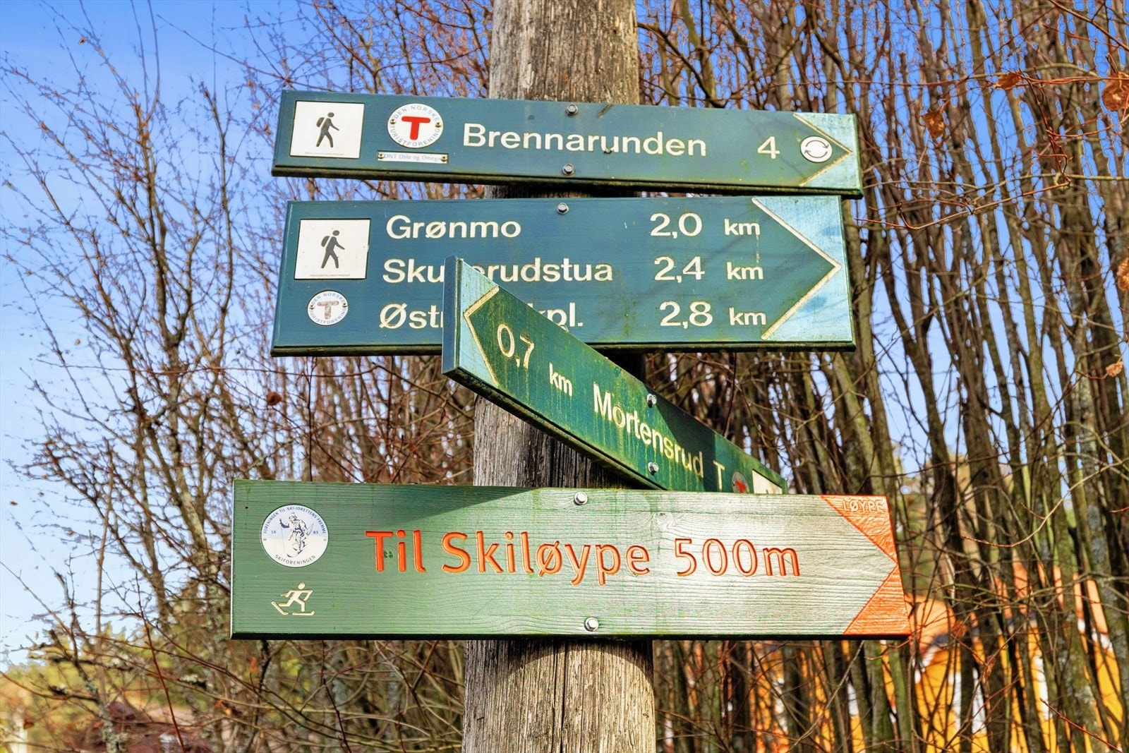 Det er meget hyggelige turmuligheter i umiddelbar nærhet. Skiløyper rett ved. Galleribilde