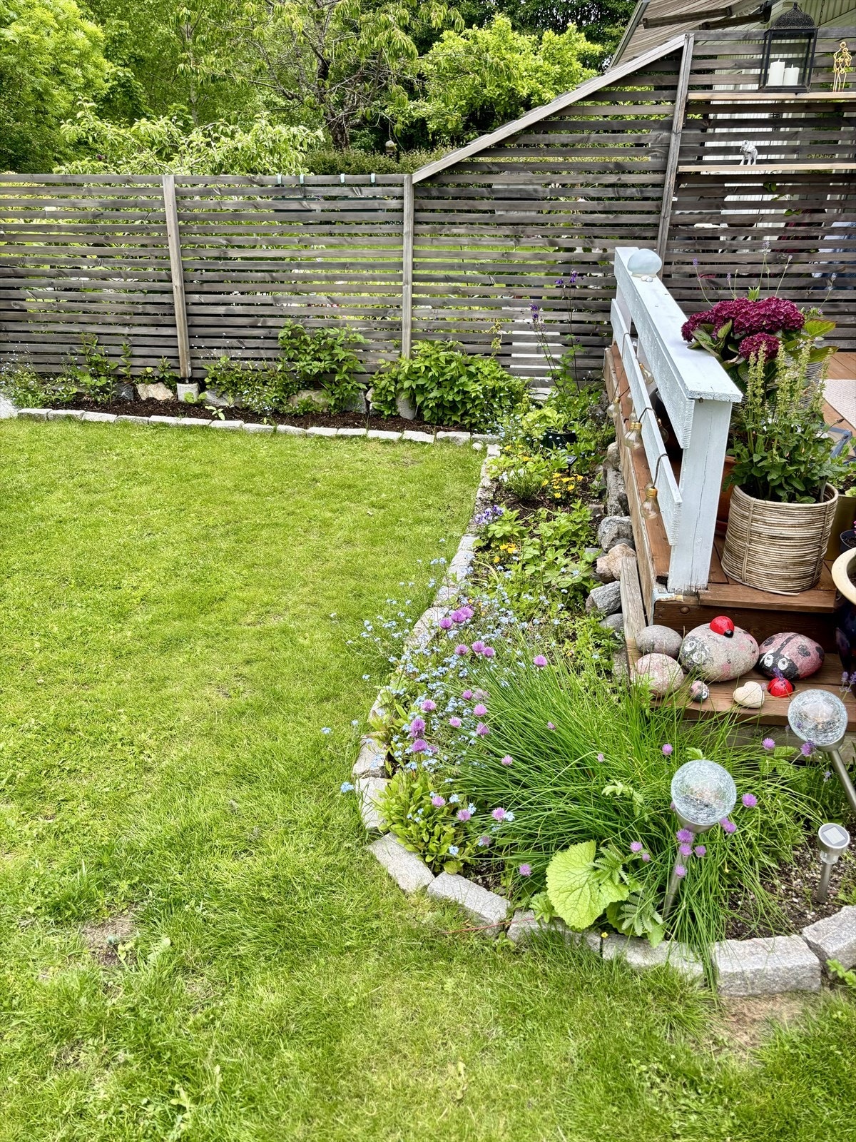 Selgers bilde fra hagen Galleribilde