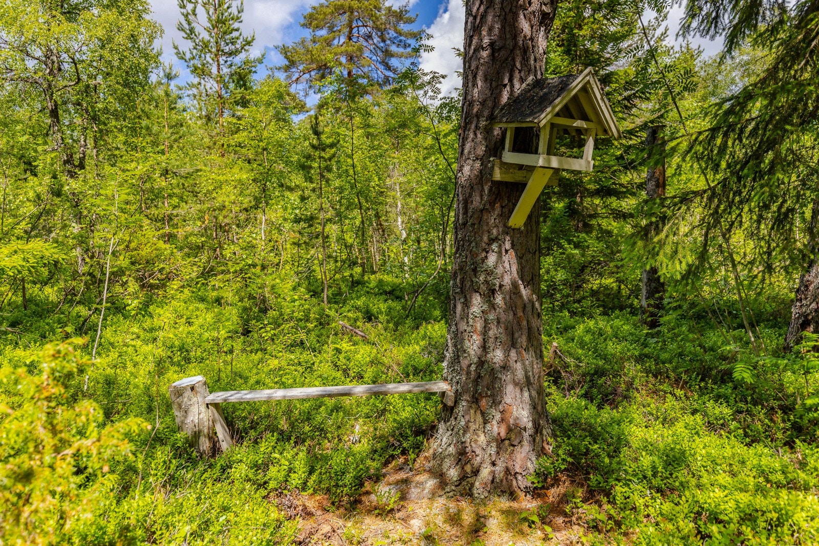 Tomten består for det meste av naturtomt. Galleribilde