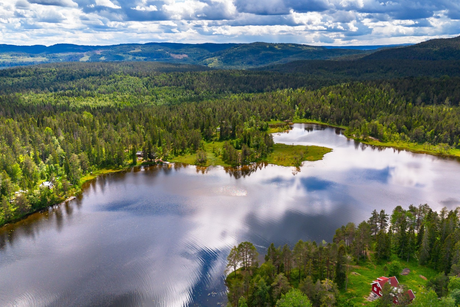 Usjernert midt i skogen, nær alle fasiliteter på Konnerud i Drammen kommune. Galleribilde