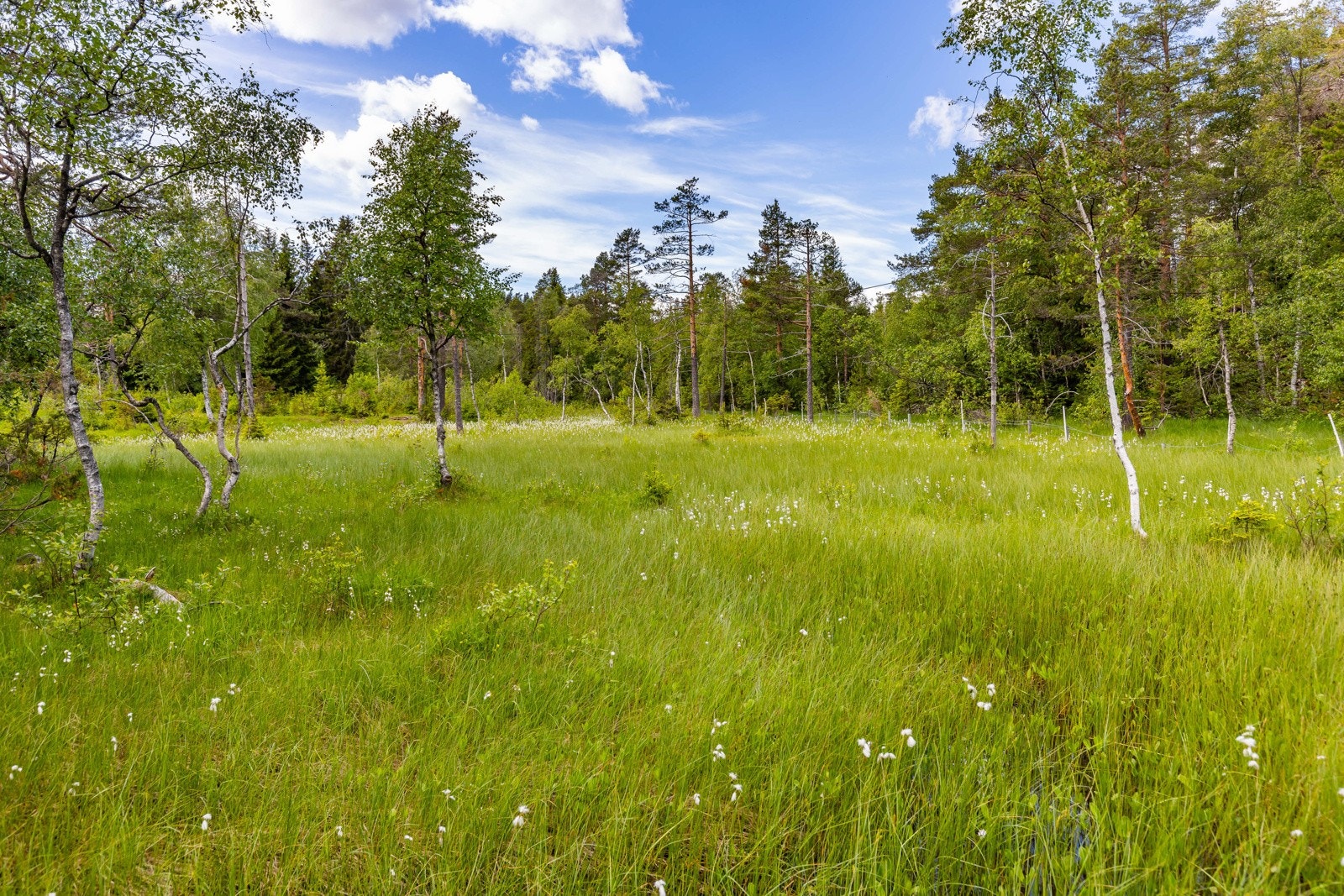 Området er en naturskjønn idyll med et vell av merkede stier, turveier og usjenerte fiskevann som byr på rike naturopplevelser året gjennom. Galleribilde