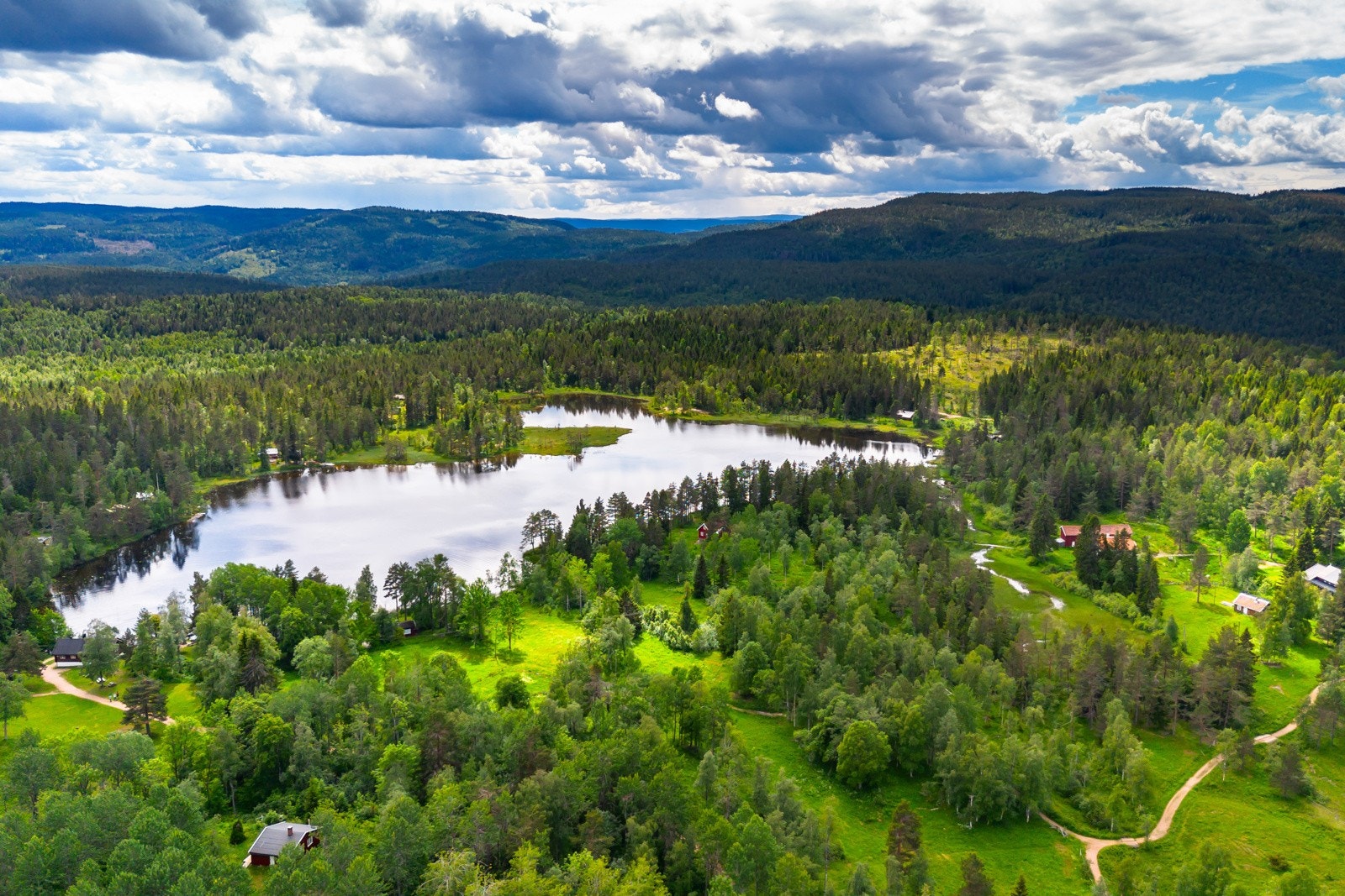 Vannet ble demmet opp for å skaffe vann til Nikkerud-gruvene, som var i drift frem til 1878, og ved Nikkerud, syd for Steglevann, kan du finne rester etter flere store skjerp. Konnerud Jeger- og Fiskerforening driver fiskekultivering i vannet. Galleribilde