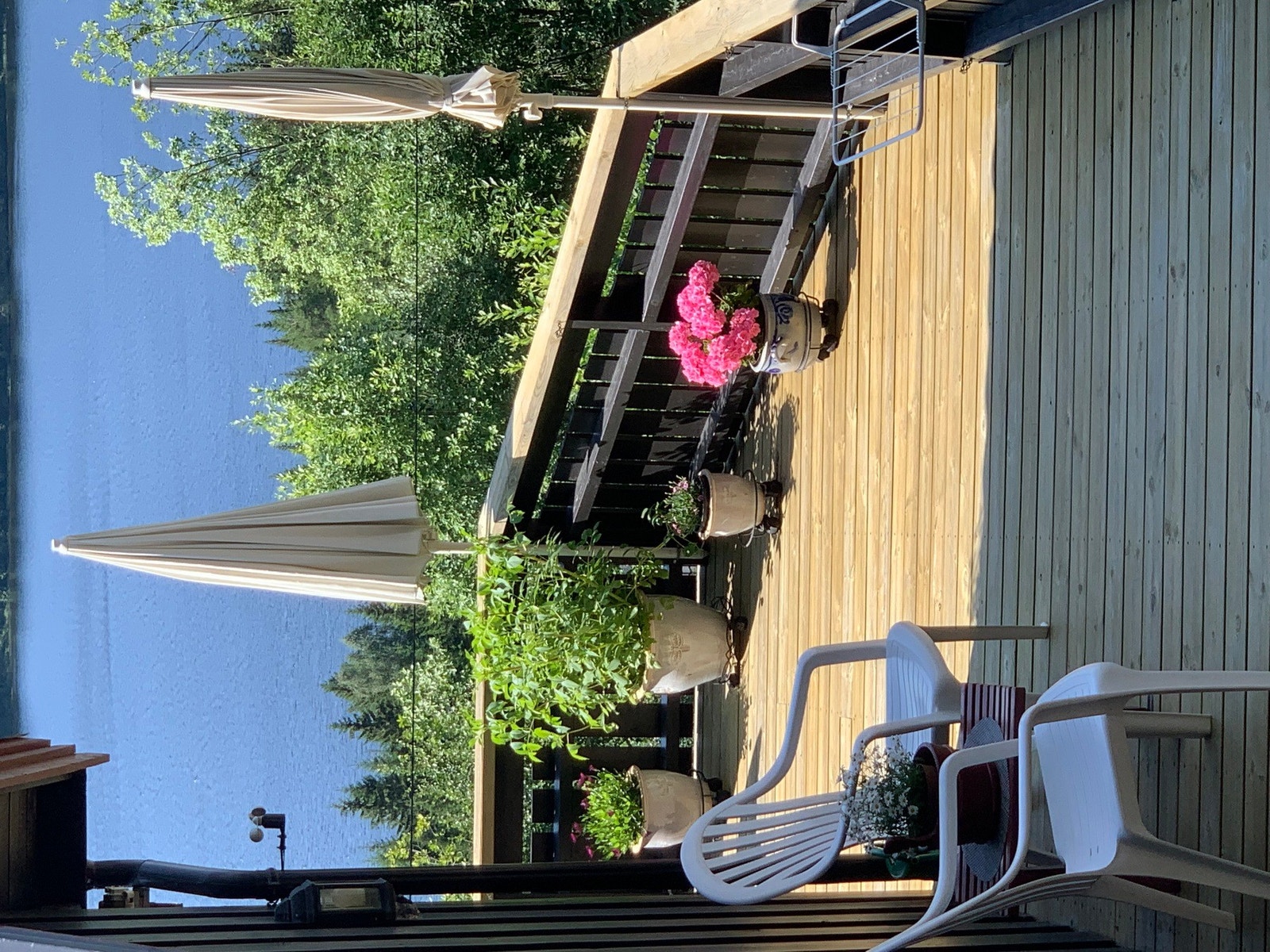 Terrassen på sommerstid. Galleribilde