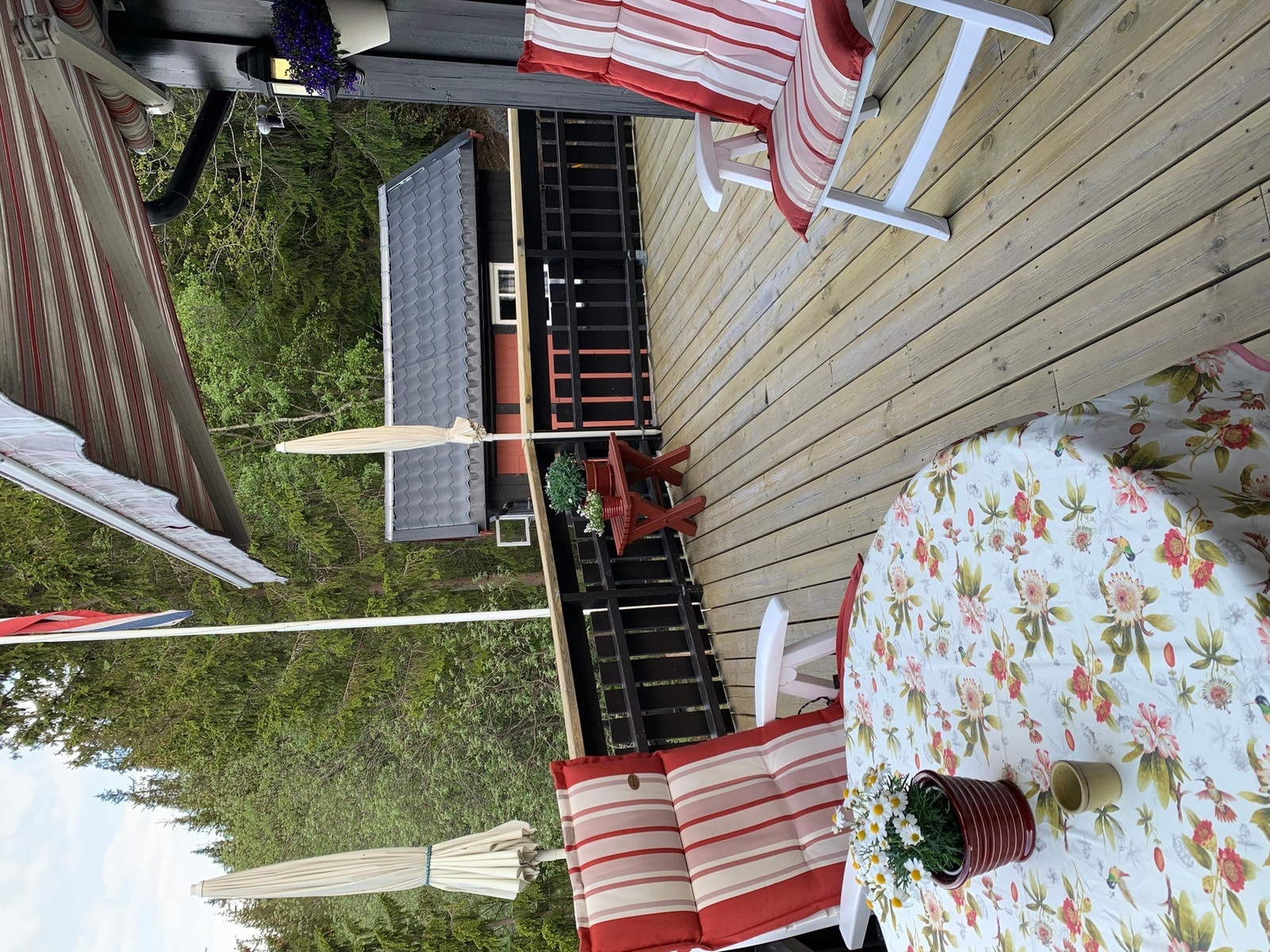 Her kan man nyte sene sommerkvelder. Galleribilde
