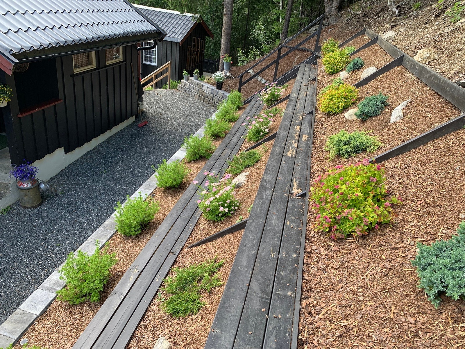 Flott opparbeidet hage med trapper mellom platåene med diverse beplantning. Galleribilde