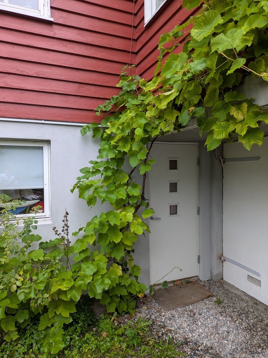 Inngangsdør Galleribilde