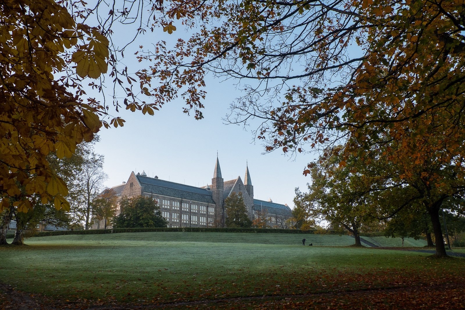På Lerkendal/Høgskoleparken får du en uslåelig beliggenhet med gangavstand til NTNU Gløshaugen, Studentersamfundet, St. Olavs Hospital, Teknobyen og Sintef. Galleribilde