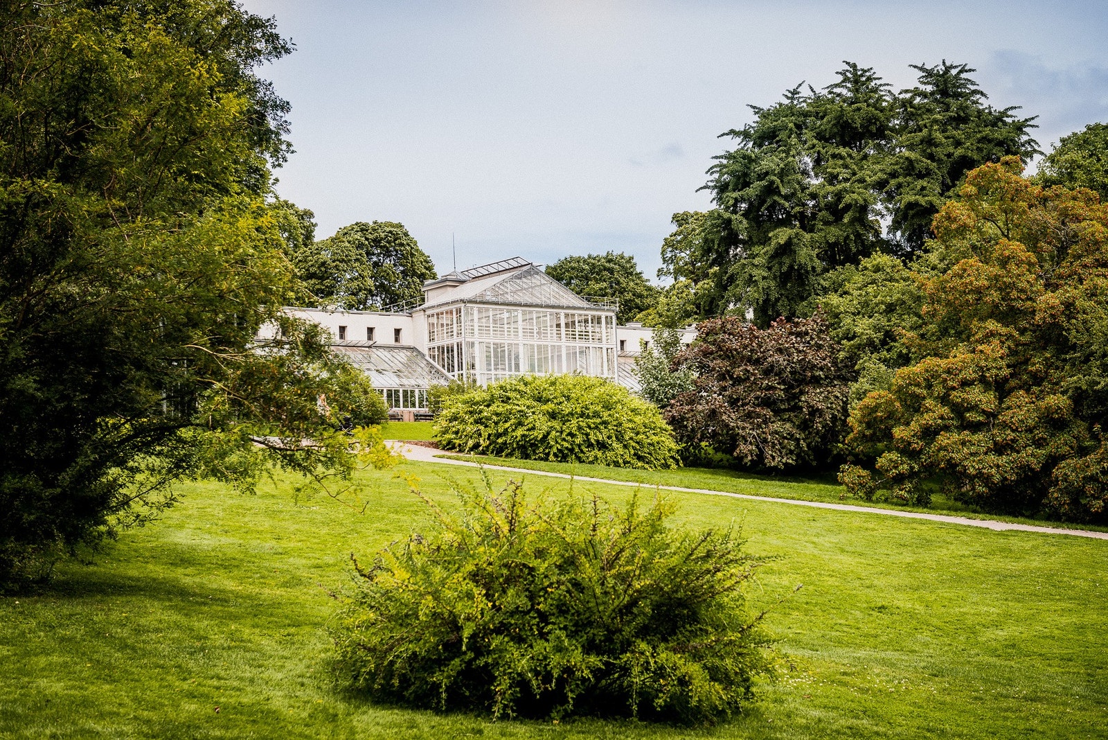 Gangavstand til vakre Botaniske Hage med nydelig beplantning. Galleribilde