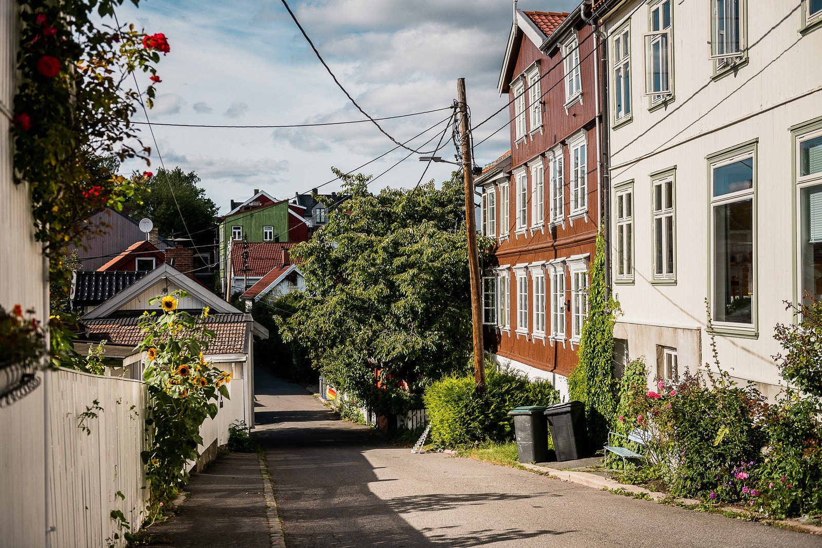 Bo i et historisk nabolag med en blanding av bygårder og gamle trehus. Galleribilde