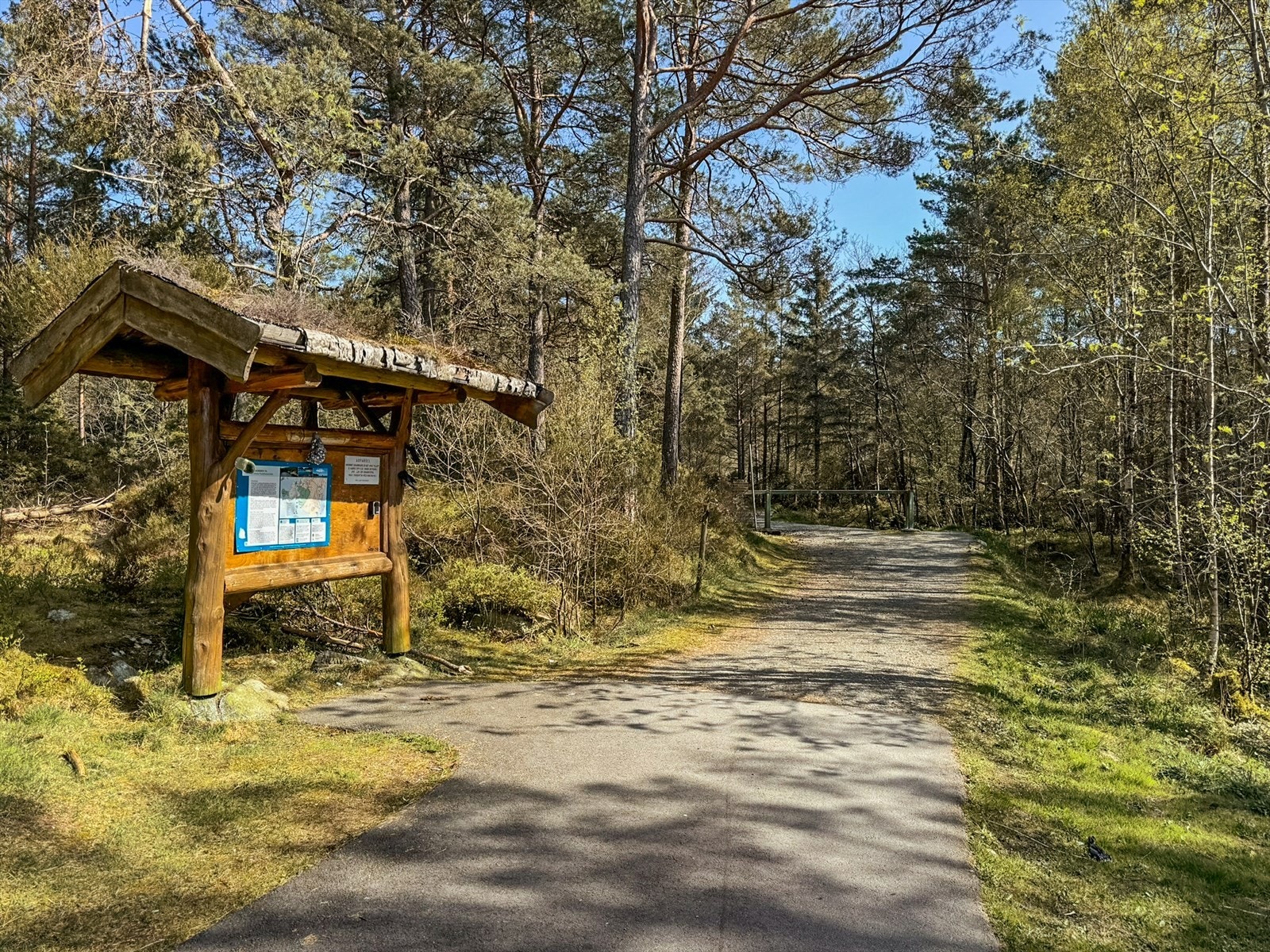 Strøno har mange turmuligheter, inkl. svært populære Ervikane. Galleribilde