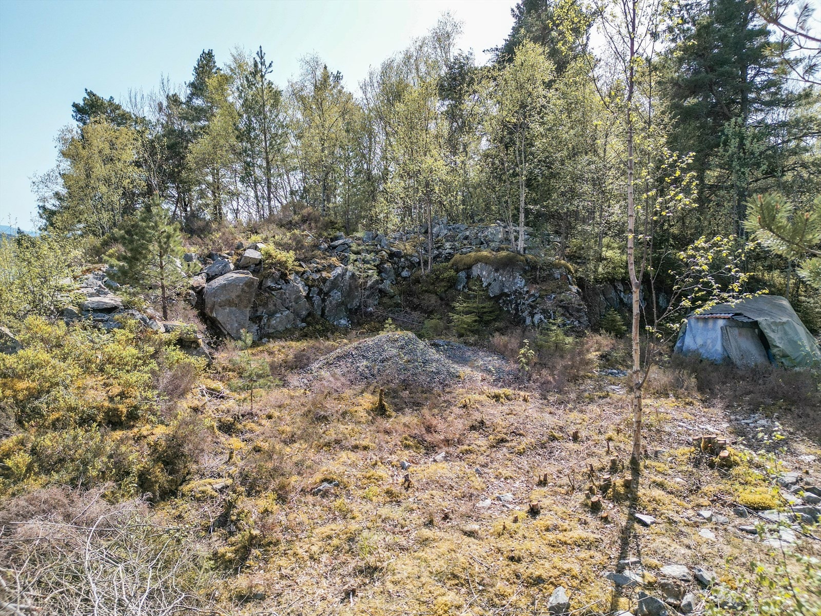 Tomten sett fra nord. Mye av tomten er planert, og en del er gjengrodd med trær. Det vil ikke bli gjort videre arbeid før salg, men man kan fint forestille seg en mer åpen utsikt ved å fjerne trær og busker. Galleribilde