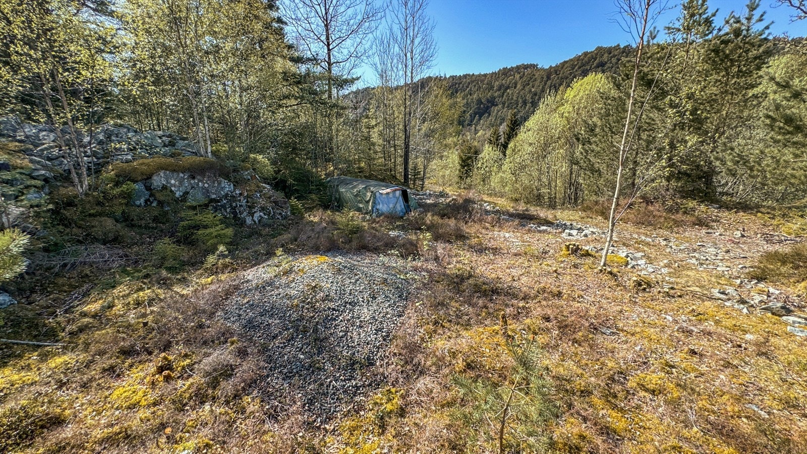 Veien går helt inn på tomten (lengst bak i bildet). Galleribilde