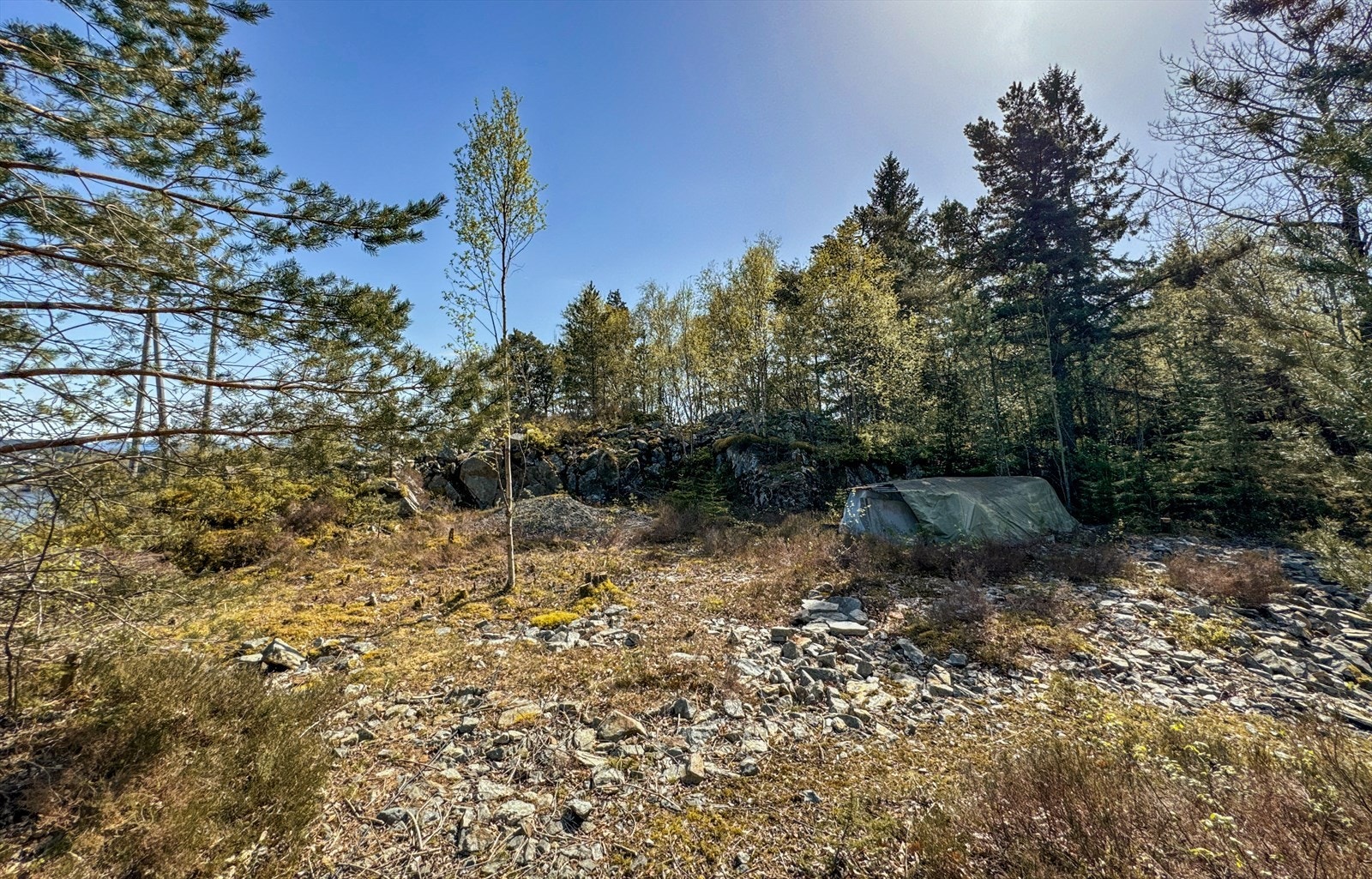 Tomten sett fra nord. Mye av tomten er planert, og en del er gjengrodd med trær. Det vil ikke bli gjort videre arbeid før salg, men man kan fint forestille seg en mer åpen utsikt ved å fjerne trær og busker. Galleribilde