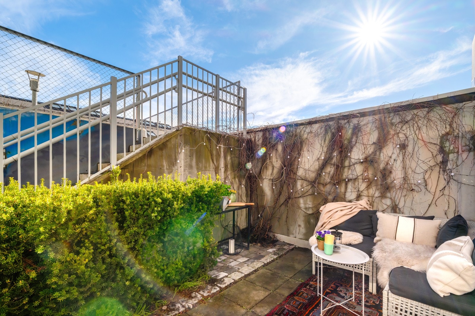 Klatreplanten pryder betongveggen på sommerhalvåret og gjør at man får en privat oase I byen. Galleribilde