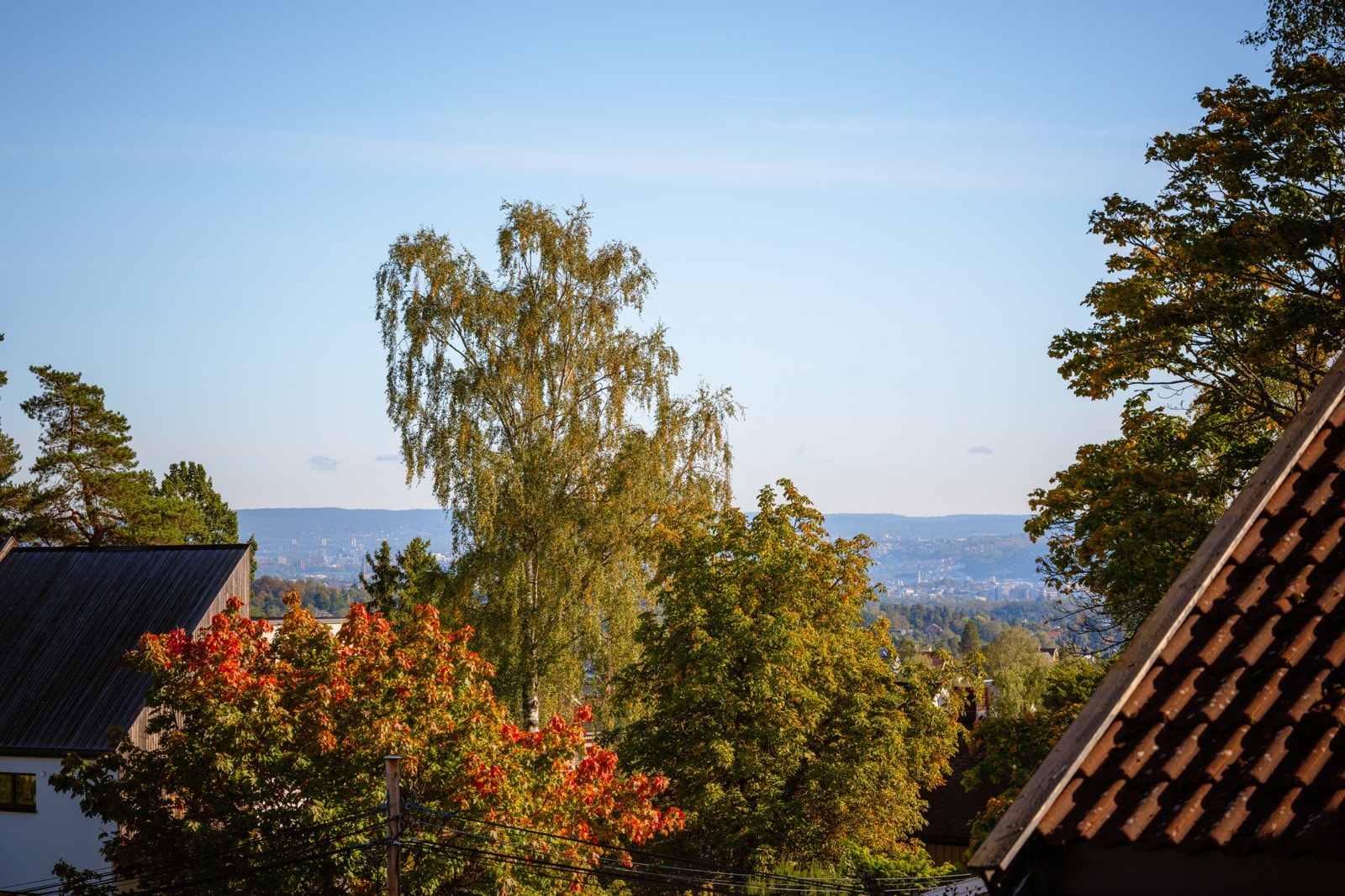 Utsikt. Galleribilde