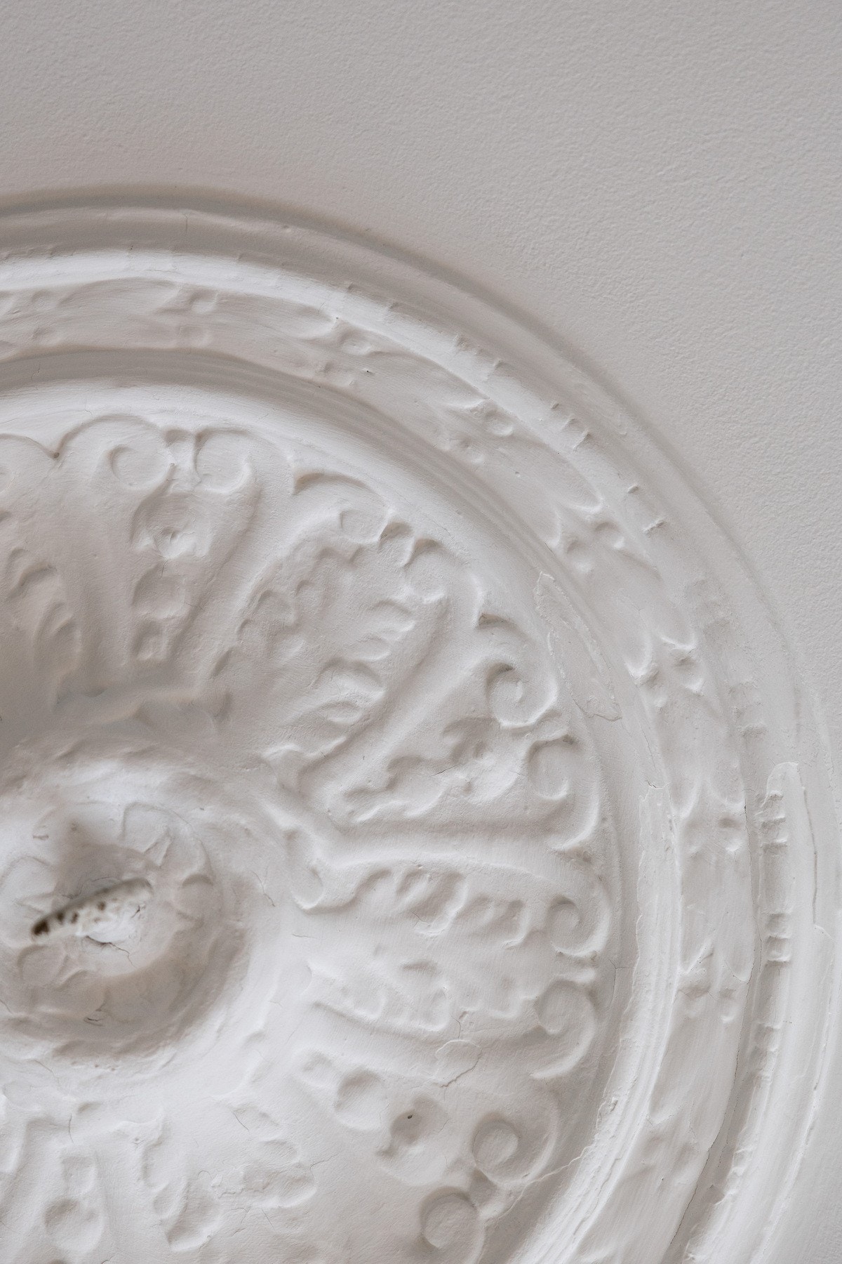 Generøs himling med klassiske detaljer. Galleribilde