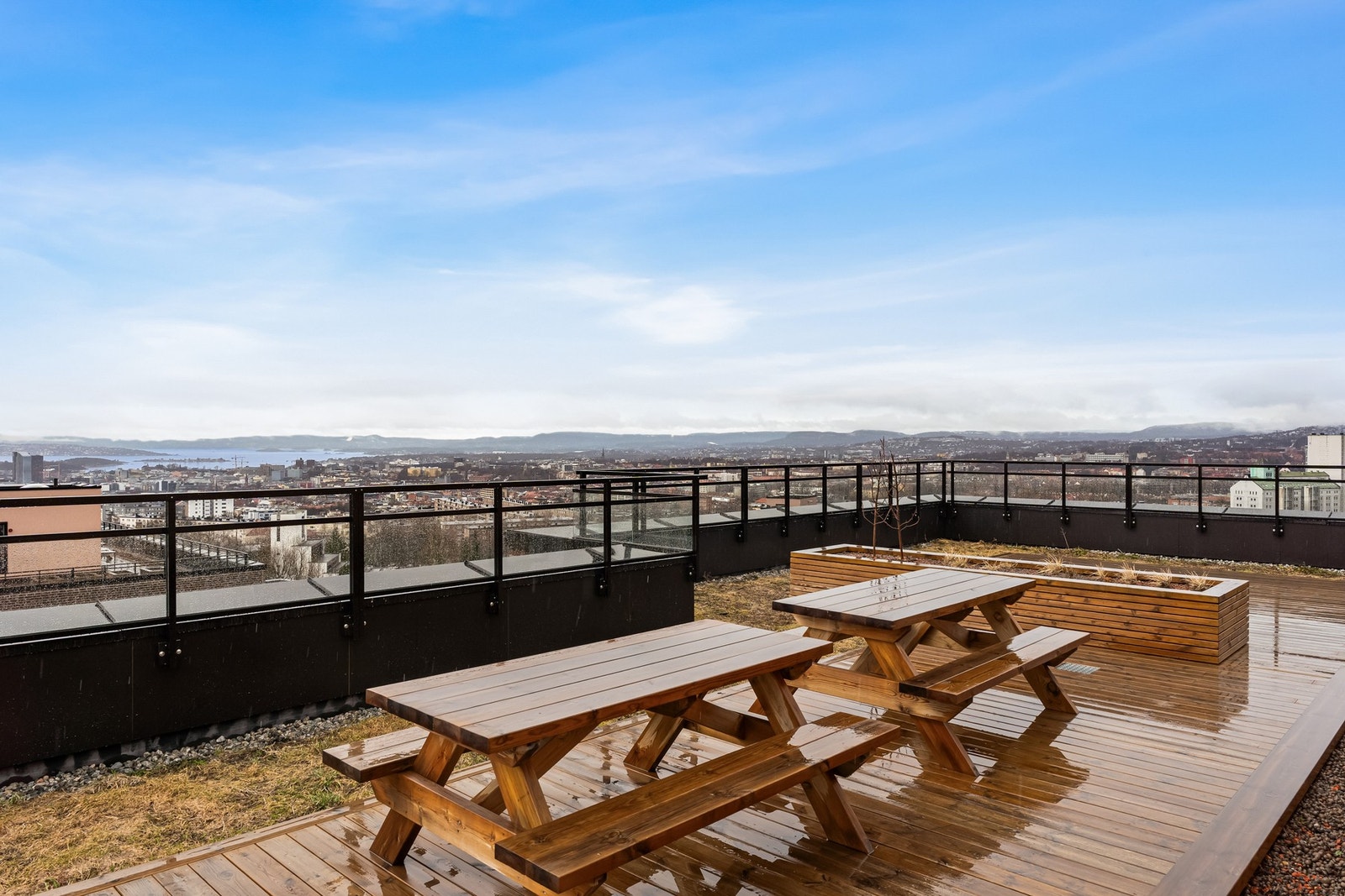 Takterrasse med sittebenker, plantekasser og arbeidsbenk med kum Galleribilde