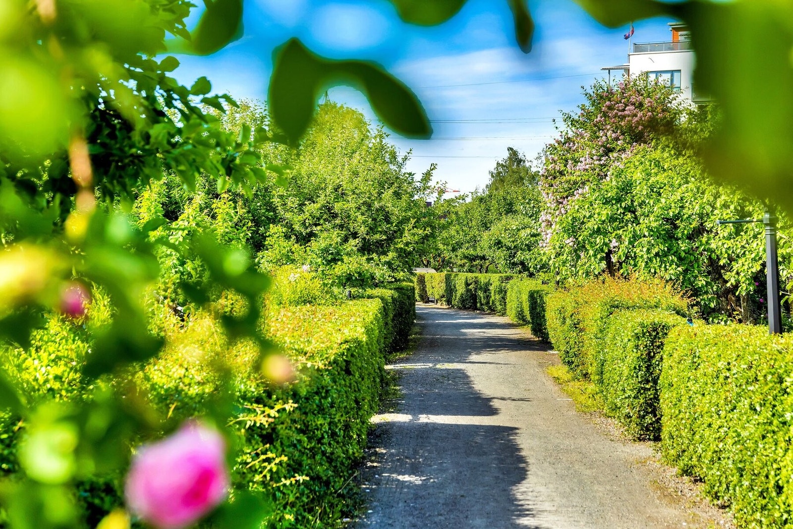 Botanisk hage ligger ikke lange turen fra leiligheten. Galleribilde