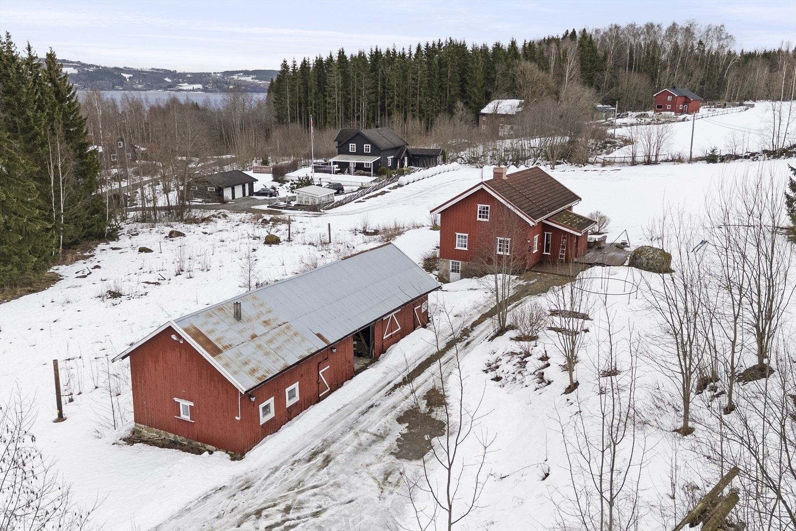 Stor eiendom på ca. 25 daa med jorder, skog og tunbygg. Galleribilde