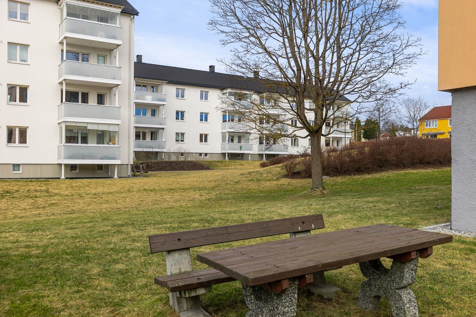 - Borettslaget har hyggelige uteområder med gressplener, sitteplasser og et grønt bomiljø - Galleribilde