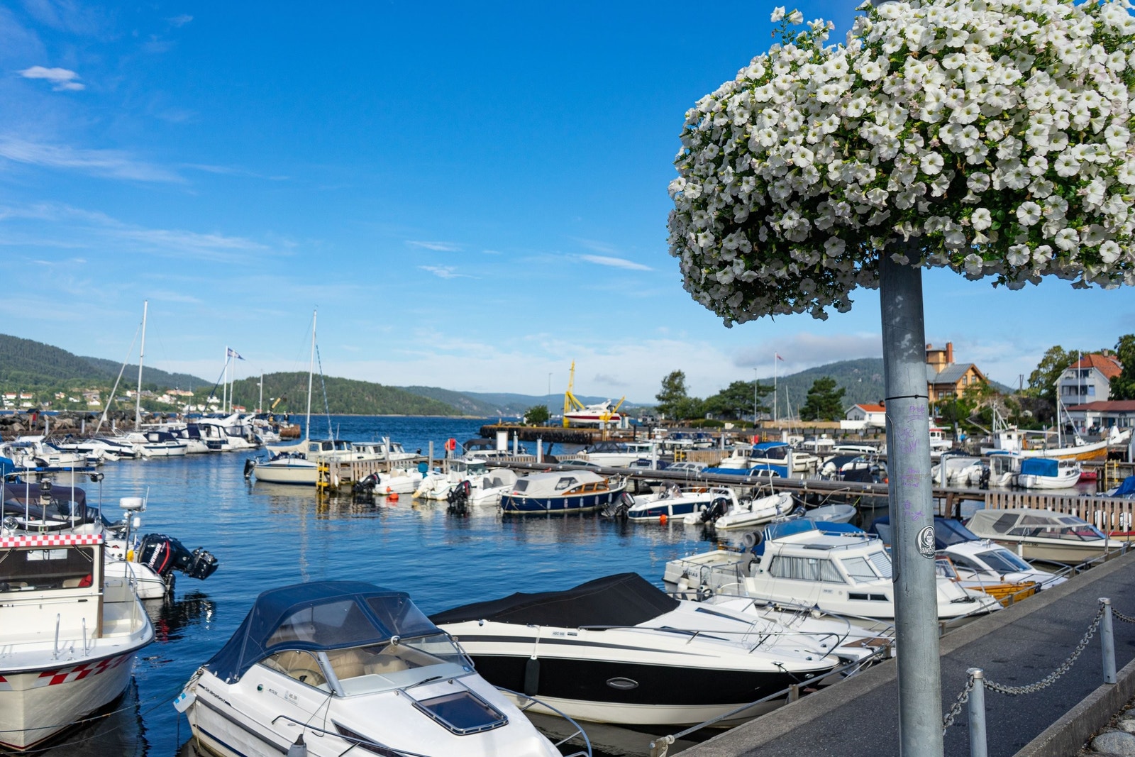 Nærmiljøet: Drøbak Havn
Foto: Mari Bareksten Galleribilde